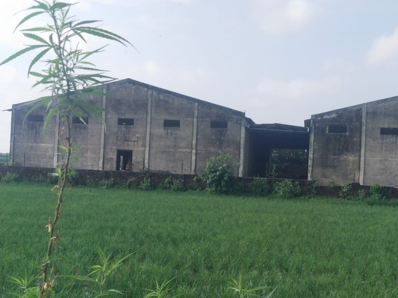 Godowns for sale in Batala — photo 4