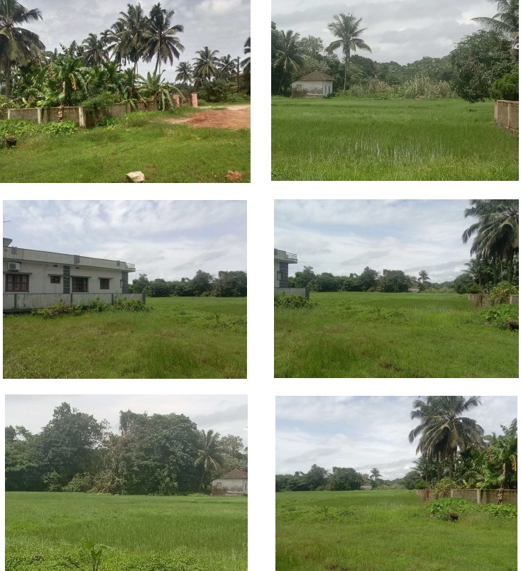 Plot for sale in Alevoor — photo 1