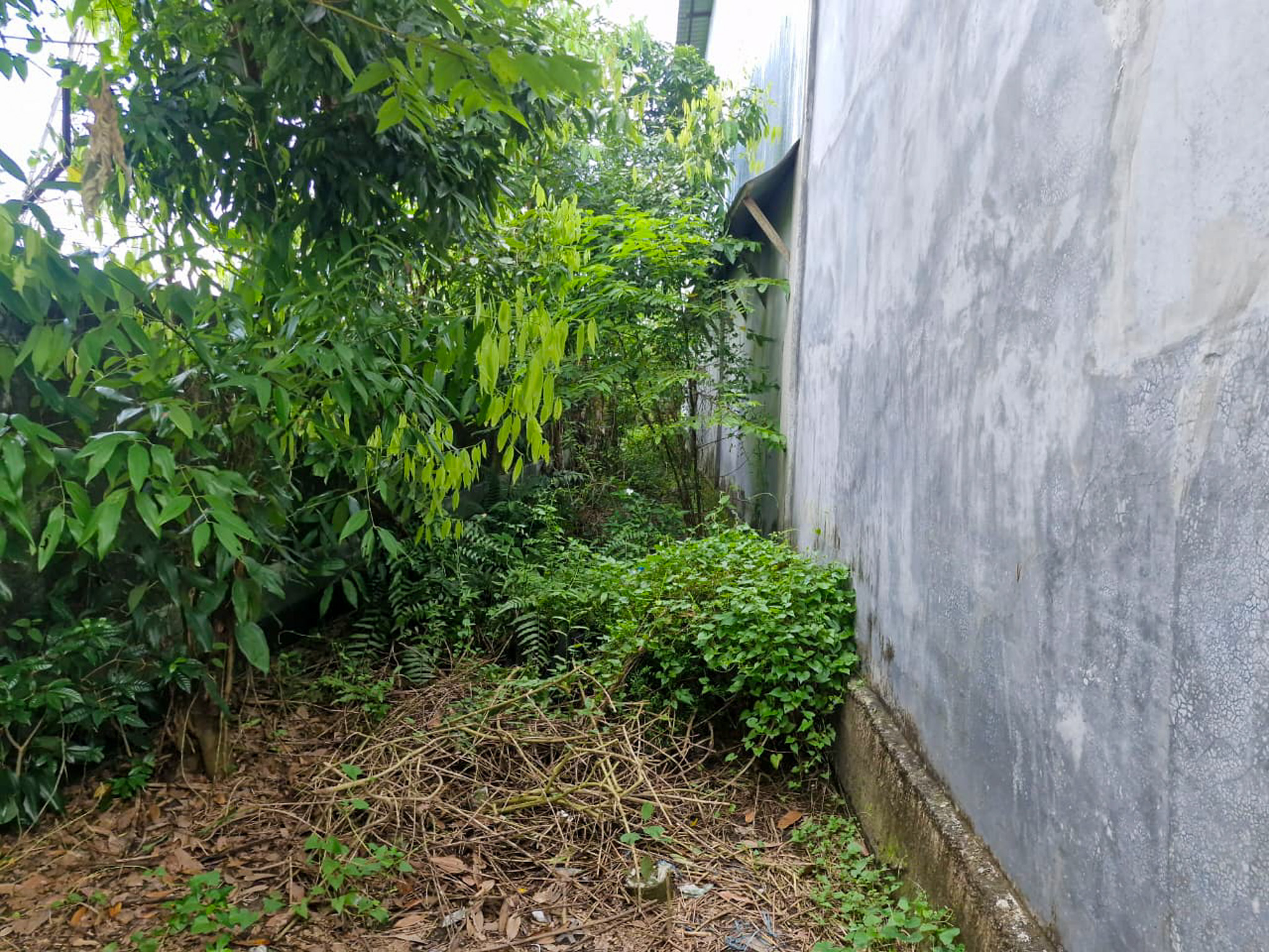 Shed with Plant and Machinery for sale in Fakir Para, Jalpaiguri, Under Kharia Gram Panchayat Jalpaiguri — photo 7