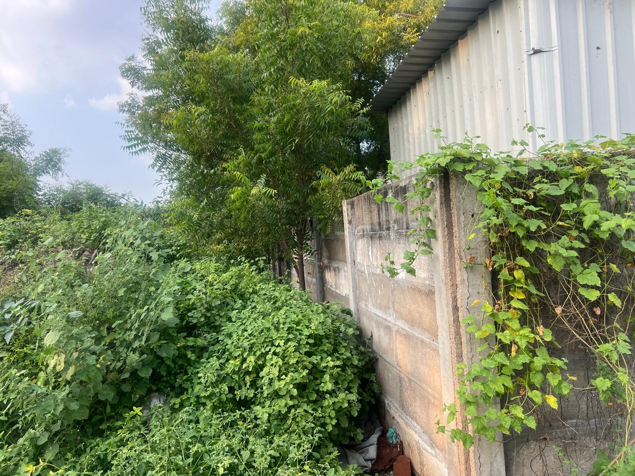 Plot for sale in Abishekapuram, Trichy Tiruchirappalli — photo 5