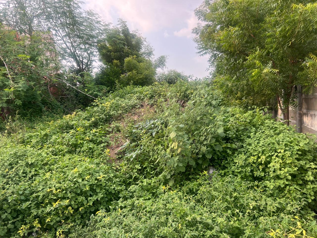 Plot for sale in Abishekapuram, Trichy Tiruchirappalli — photo 6