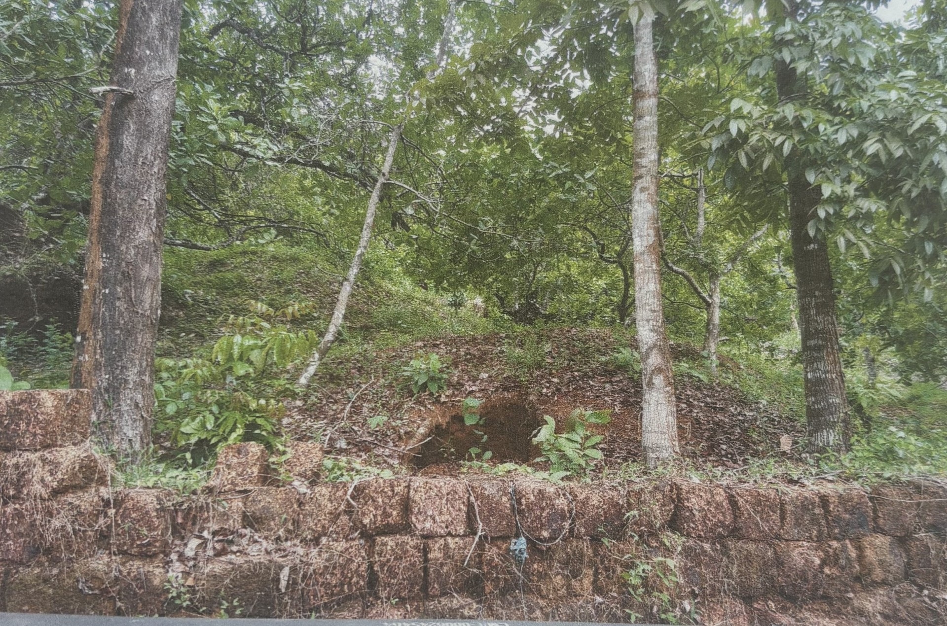 Plot for sale in KANNUR Mangattidam — photo 1