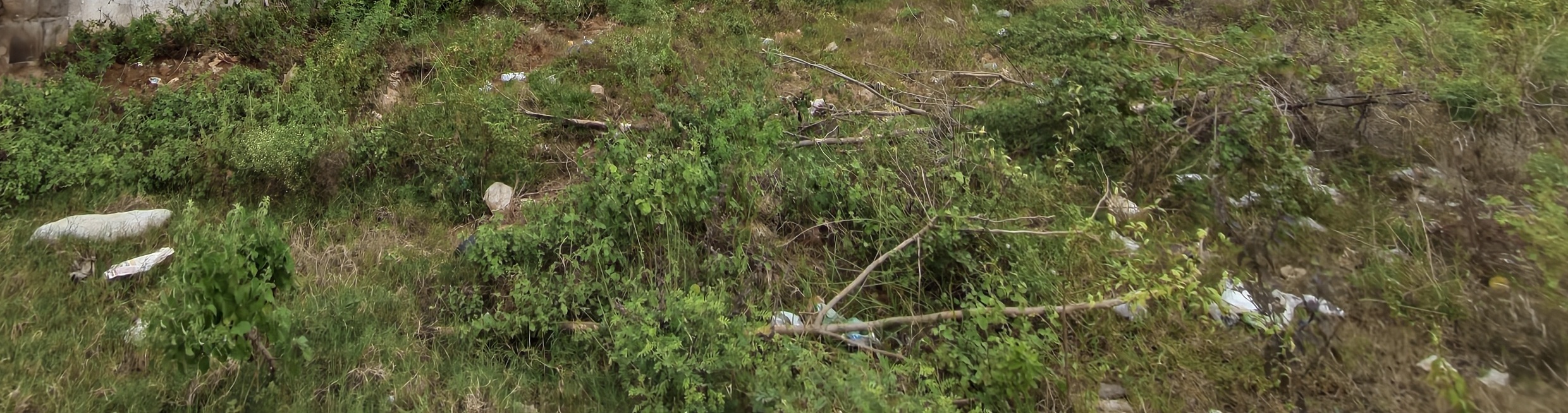 484 square yard Plot for sale in Ponduru Pondura — photo 2