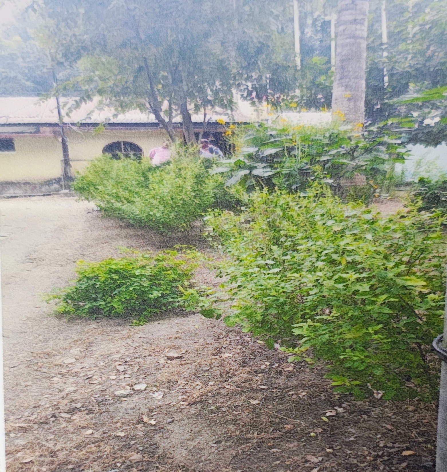 Individual House for sale in Nagarukhra Haringhata Farm — photo 2
