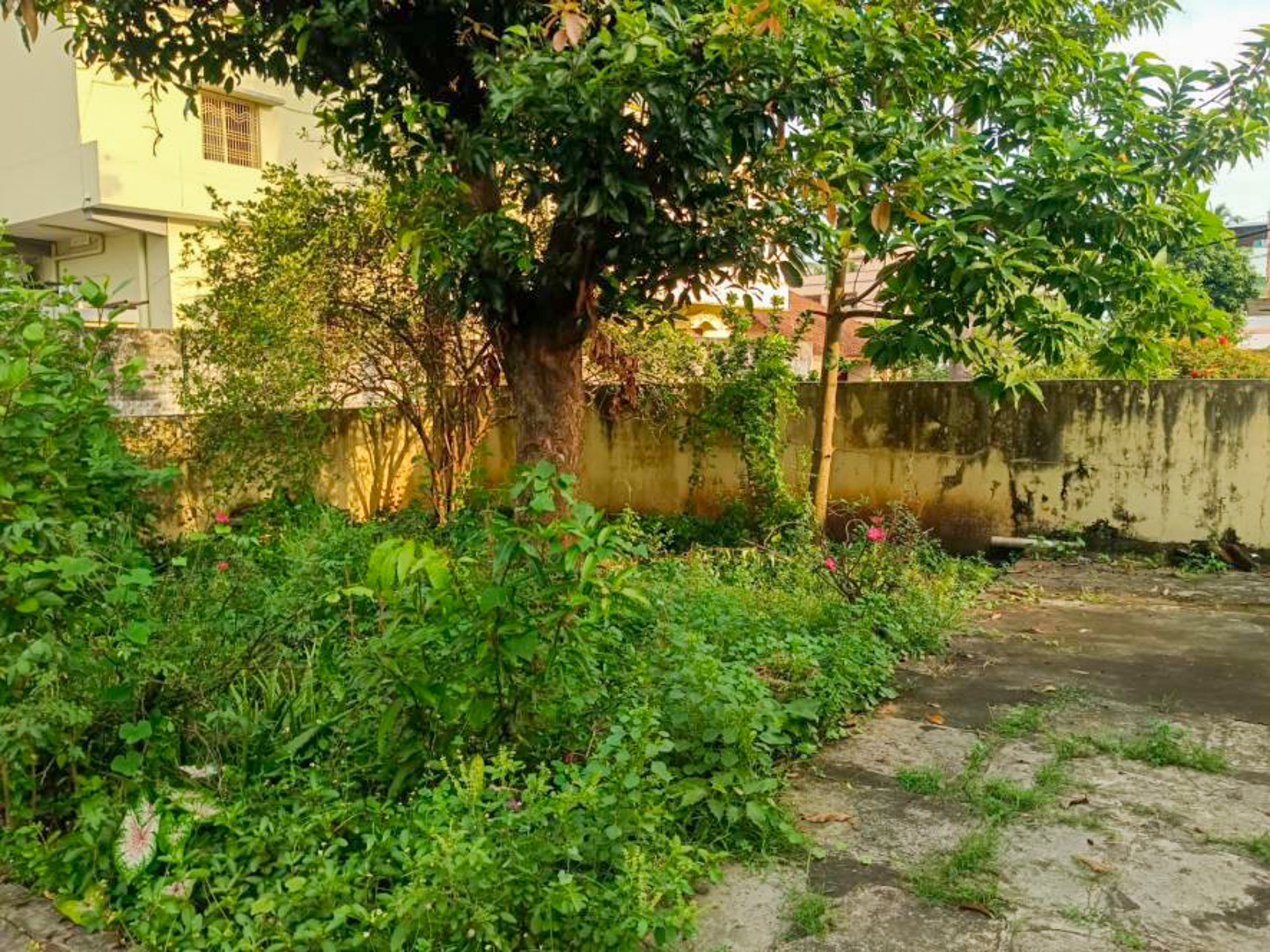 Individual House for sale in Industrial Park Nemam — photo 8