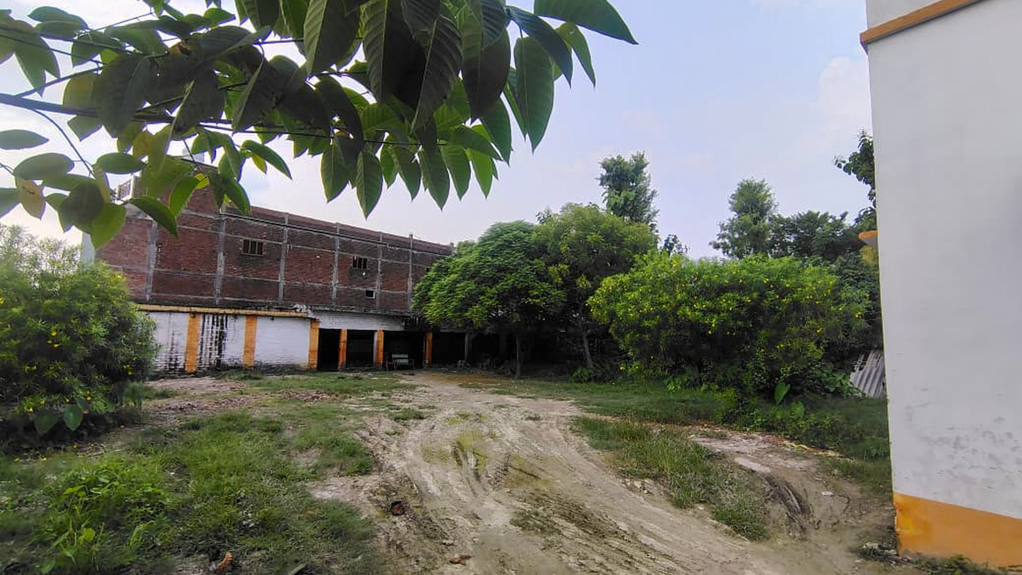 240 square meter Individual House for sale in Padrauna — photo 9