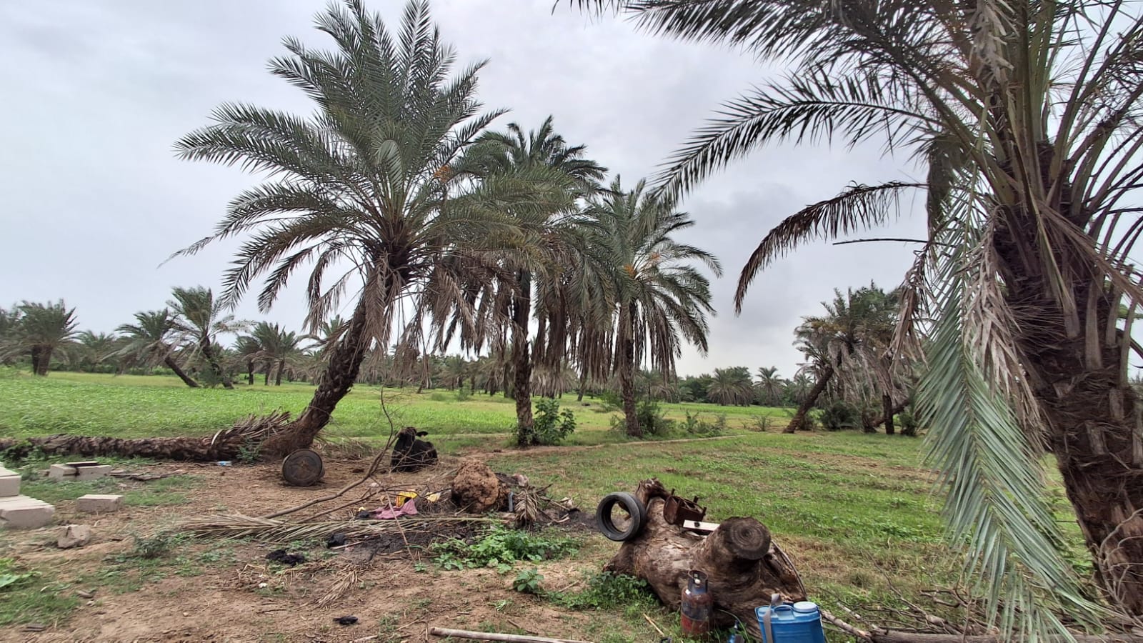 Agriculture Land for sale in Mundra Mundra — photo 1