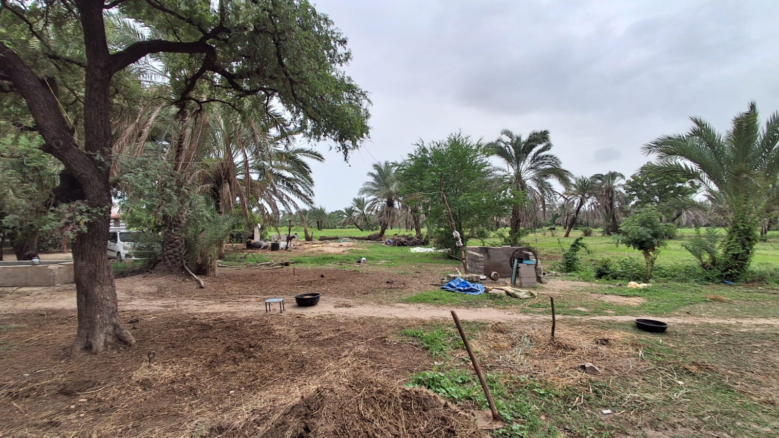 Agriculture Land for sale in Mundra Mundra — photo 2