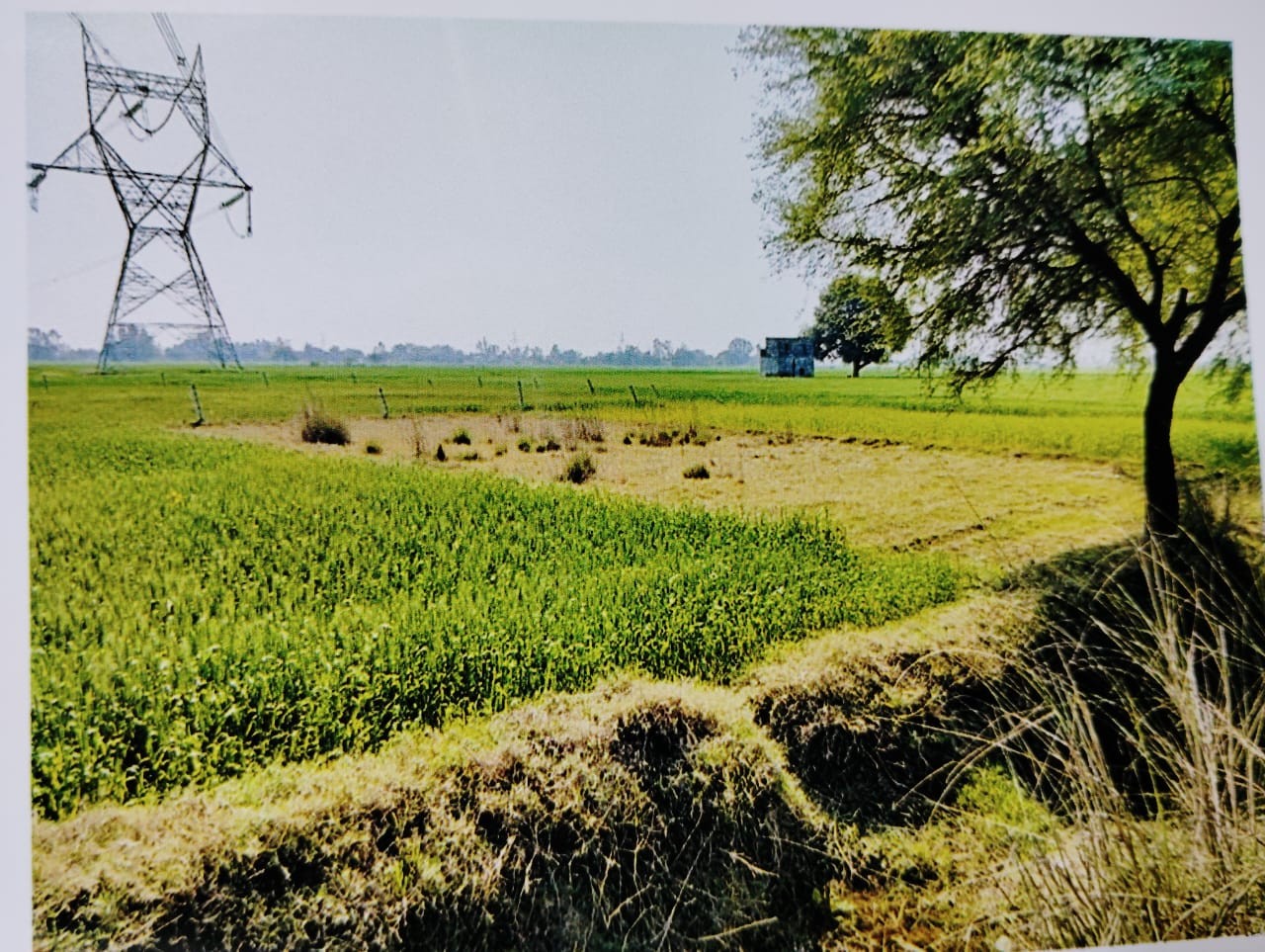 Plot for sale in SARKANDI BINDKI FATEHPUR Bindki — photo 1