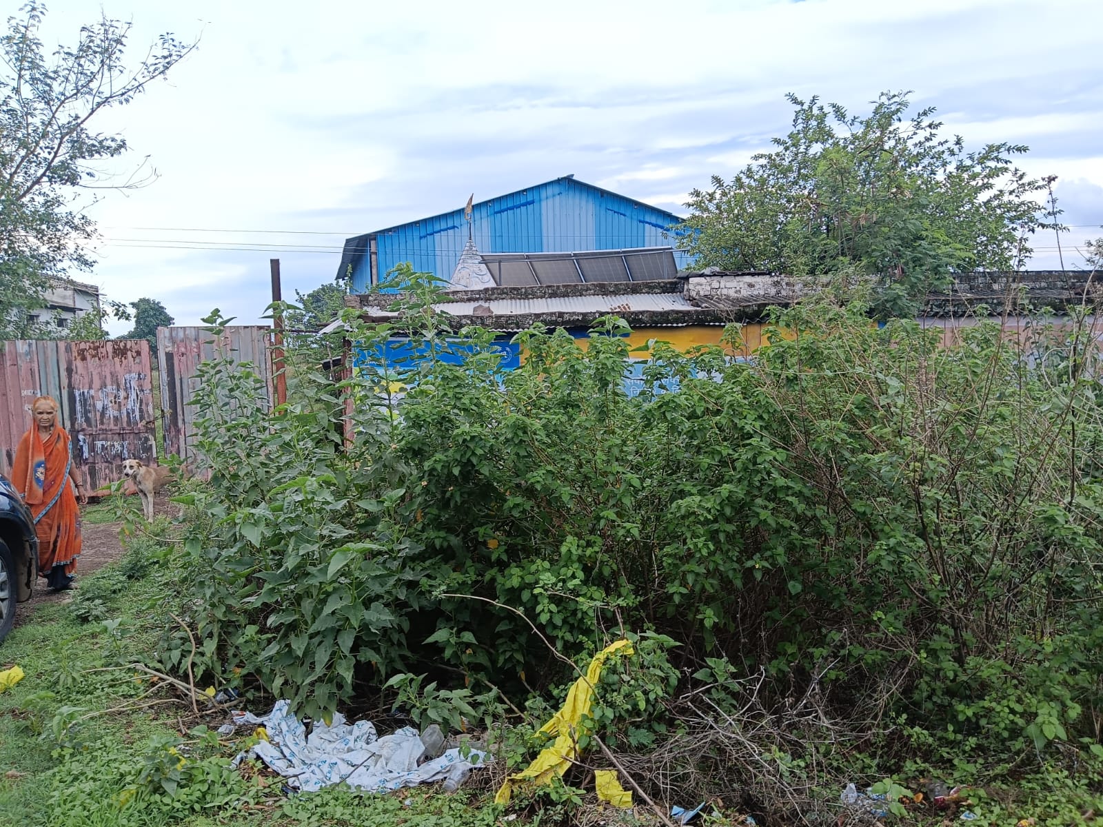 Plot for sale in Raisen — photo 3