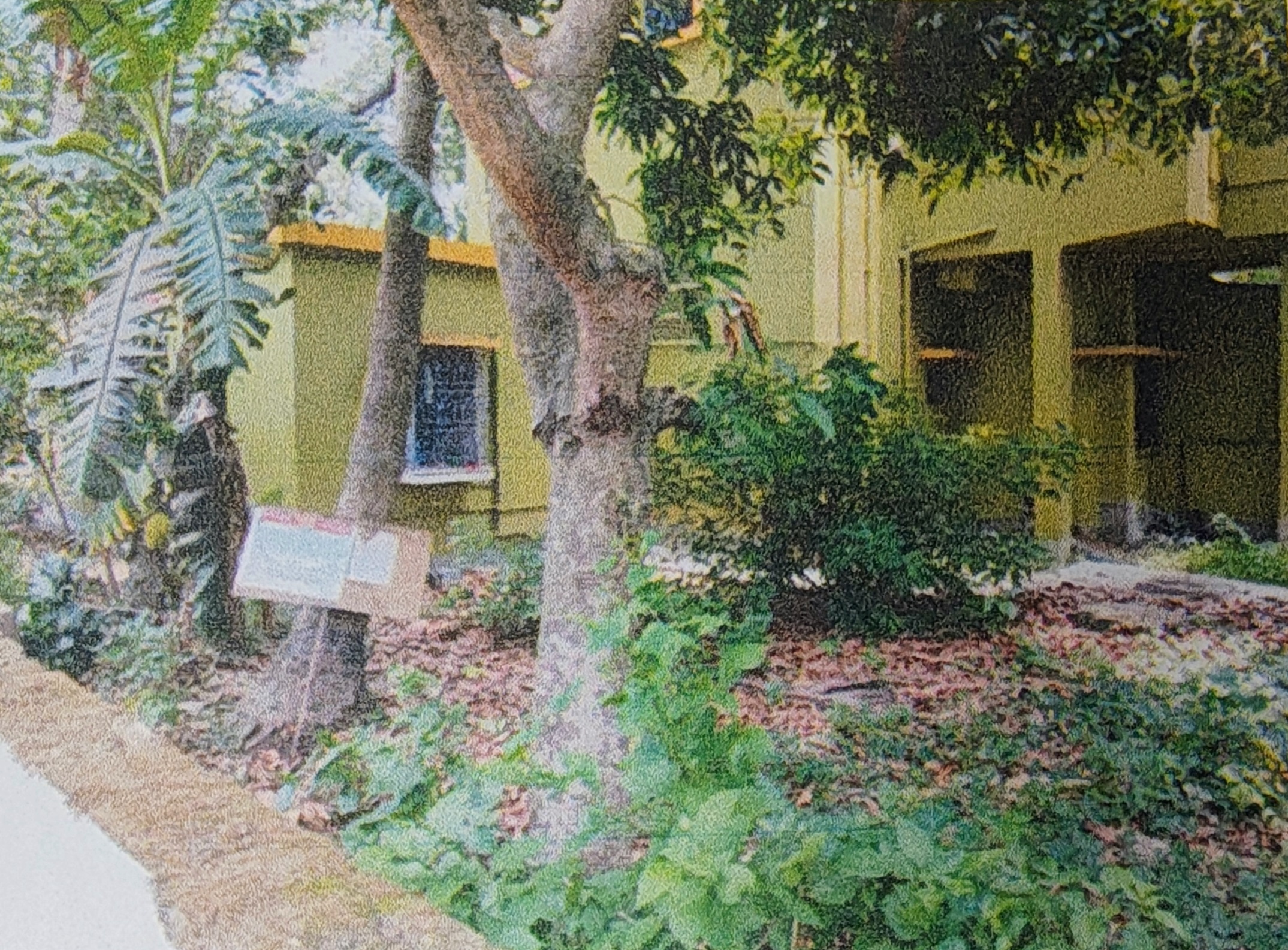 Plot for sale in Dhubulia Bethuadahari — photo 1