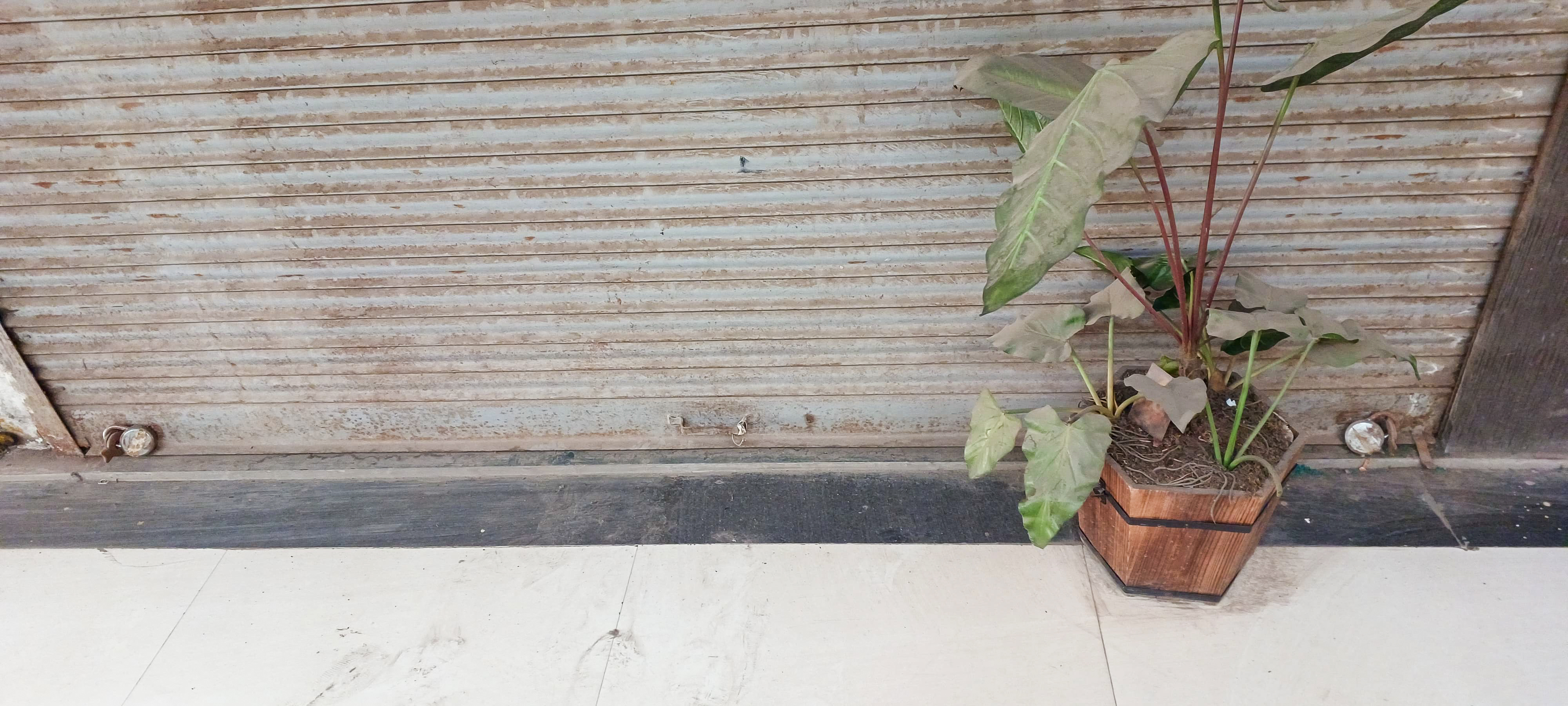 197 square feet Shops for sale in Gwalior — photo 12
