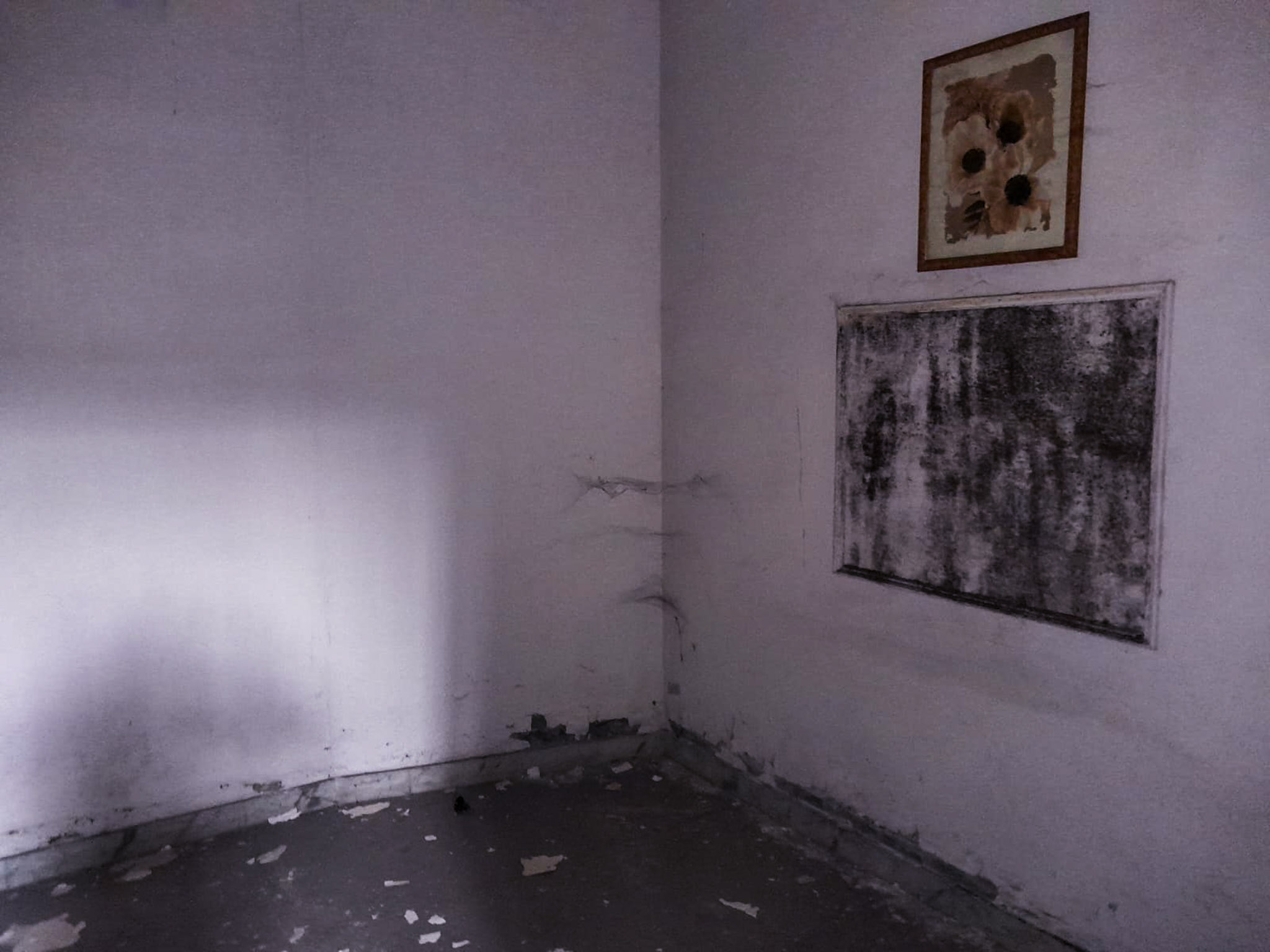 Individual House for sale in Ludhiana — photo 15