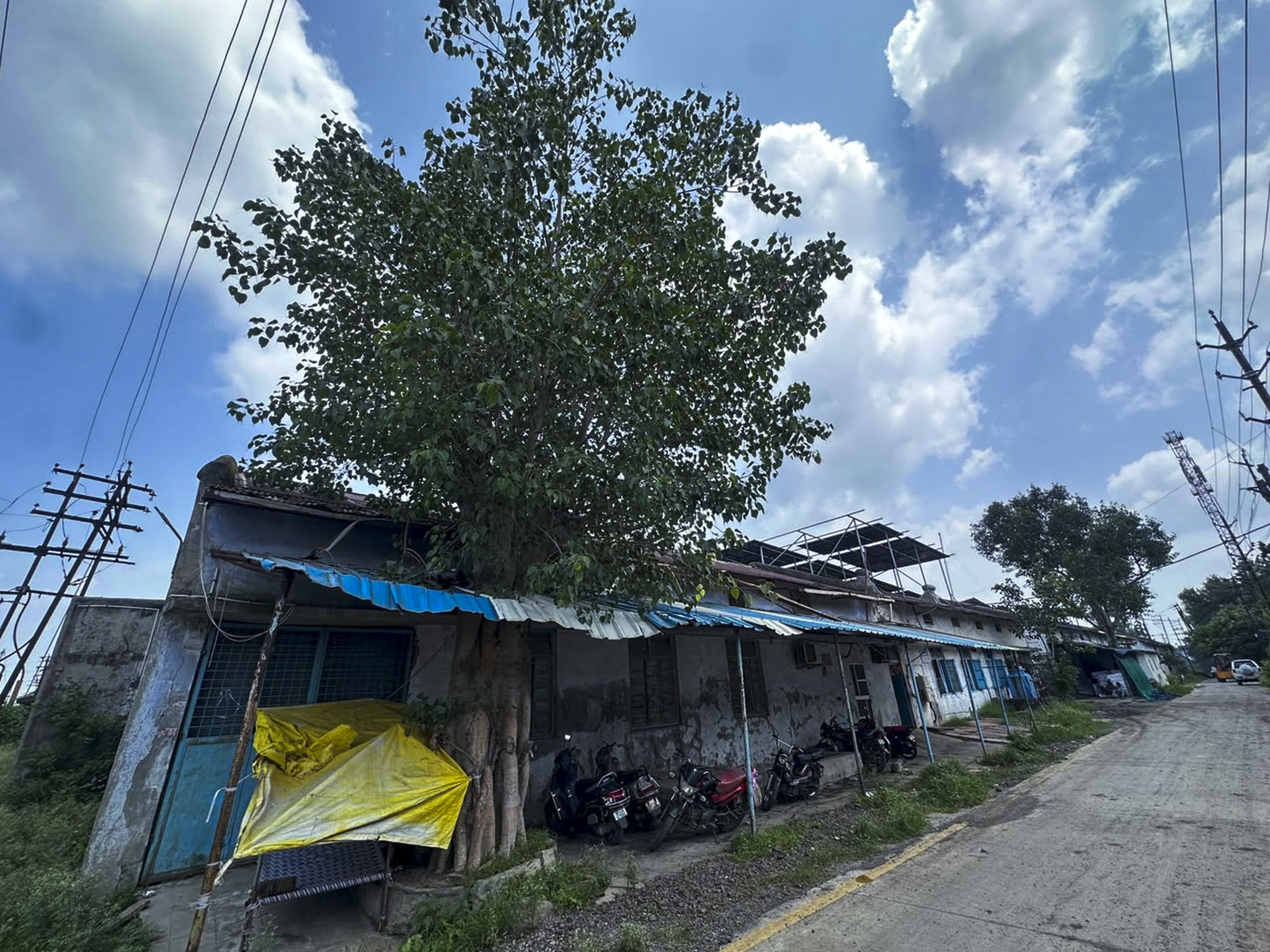 5170 square feet Shed with Plant and Machinery for sale in INDUSTRIAL AREA RATLAM Ratlam — photo 7