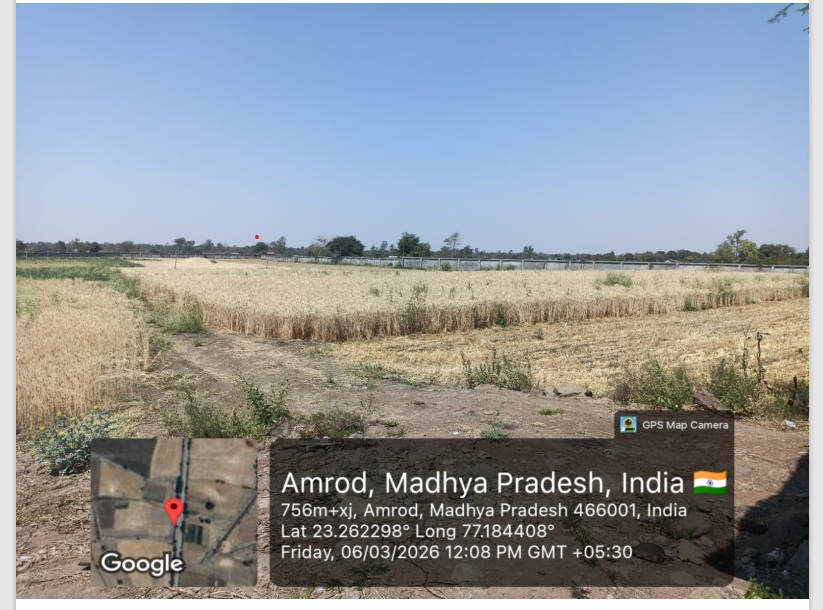 Plot for sale in Industrial Area Badiakhedi — photo 1