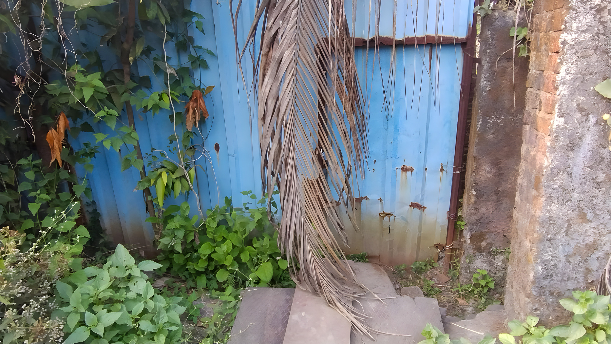 495 square feet Flat for sale in VASHIND Asangaon — photo 4
