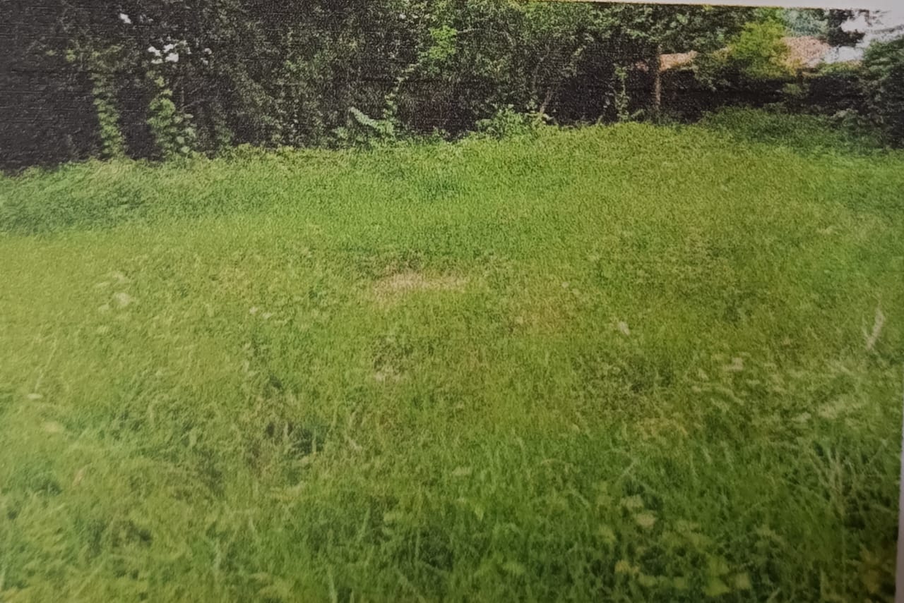 Plot for sale in Telenpali Bandhbahal — photo 1