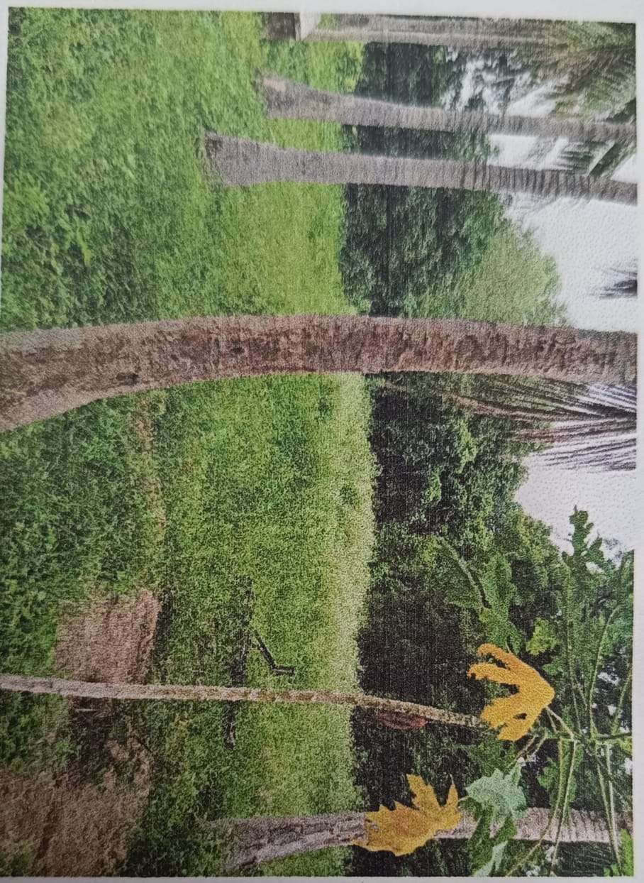 Plot for sale in Telenpali Bandhbahal — photo 1