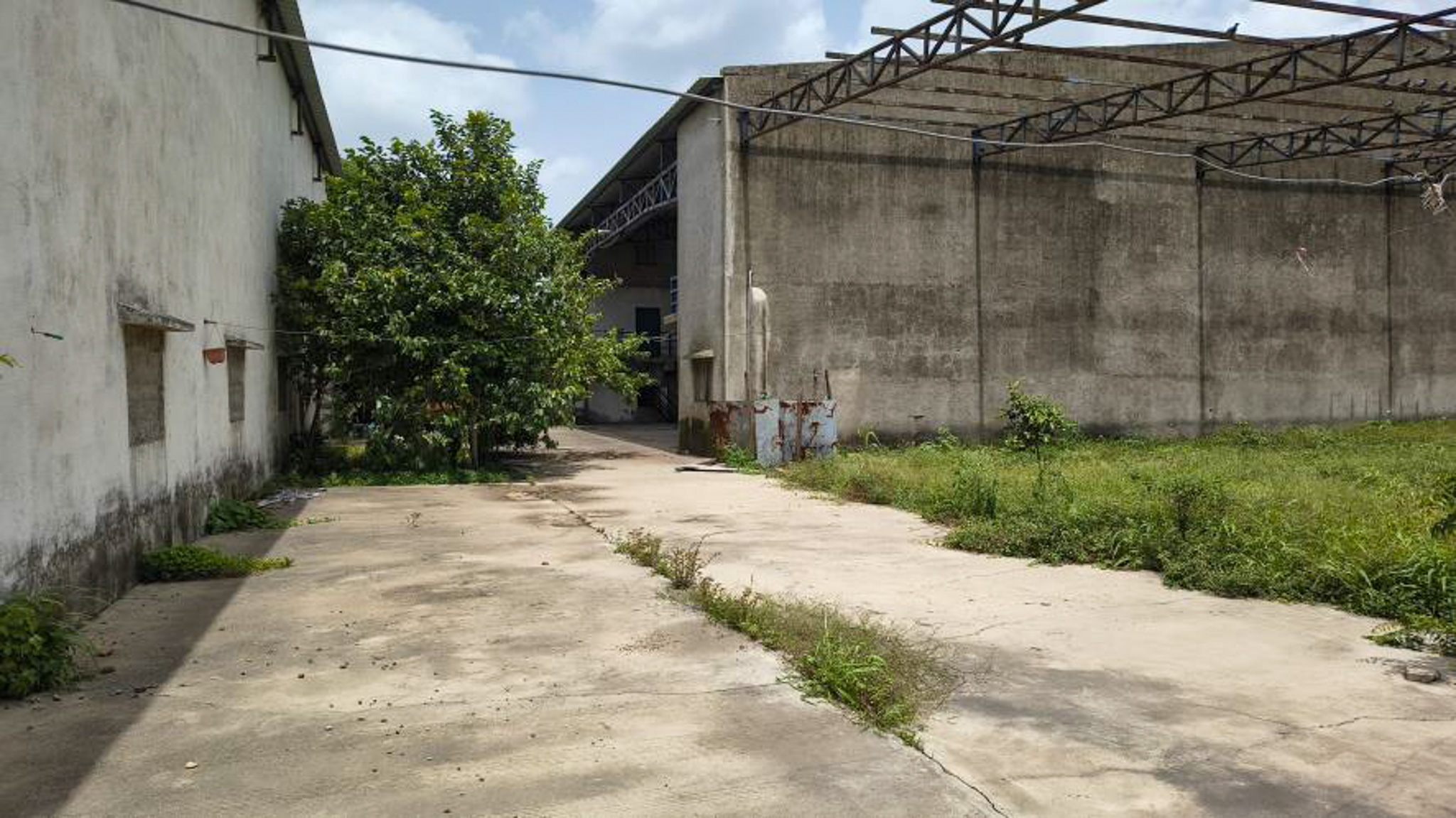 Industrial Shed for sale in INDUSTRIAL Area Gondal — photo 13