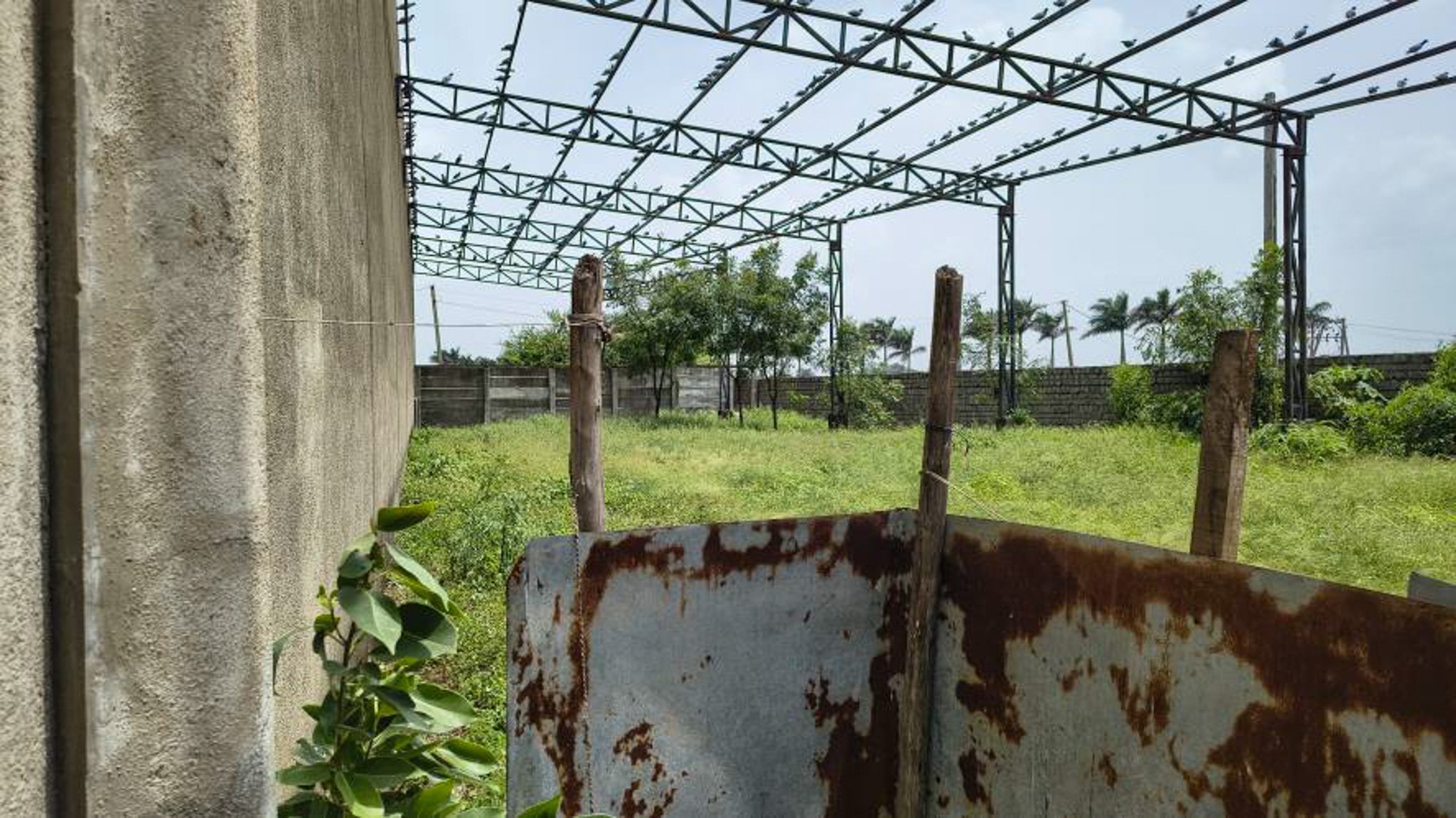 Industrial Shed for sale in INDUSTRIAL Area Gondal — photo 15