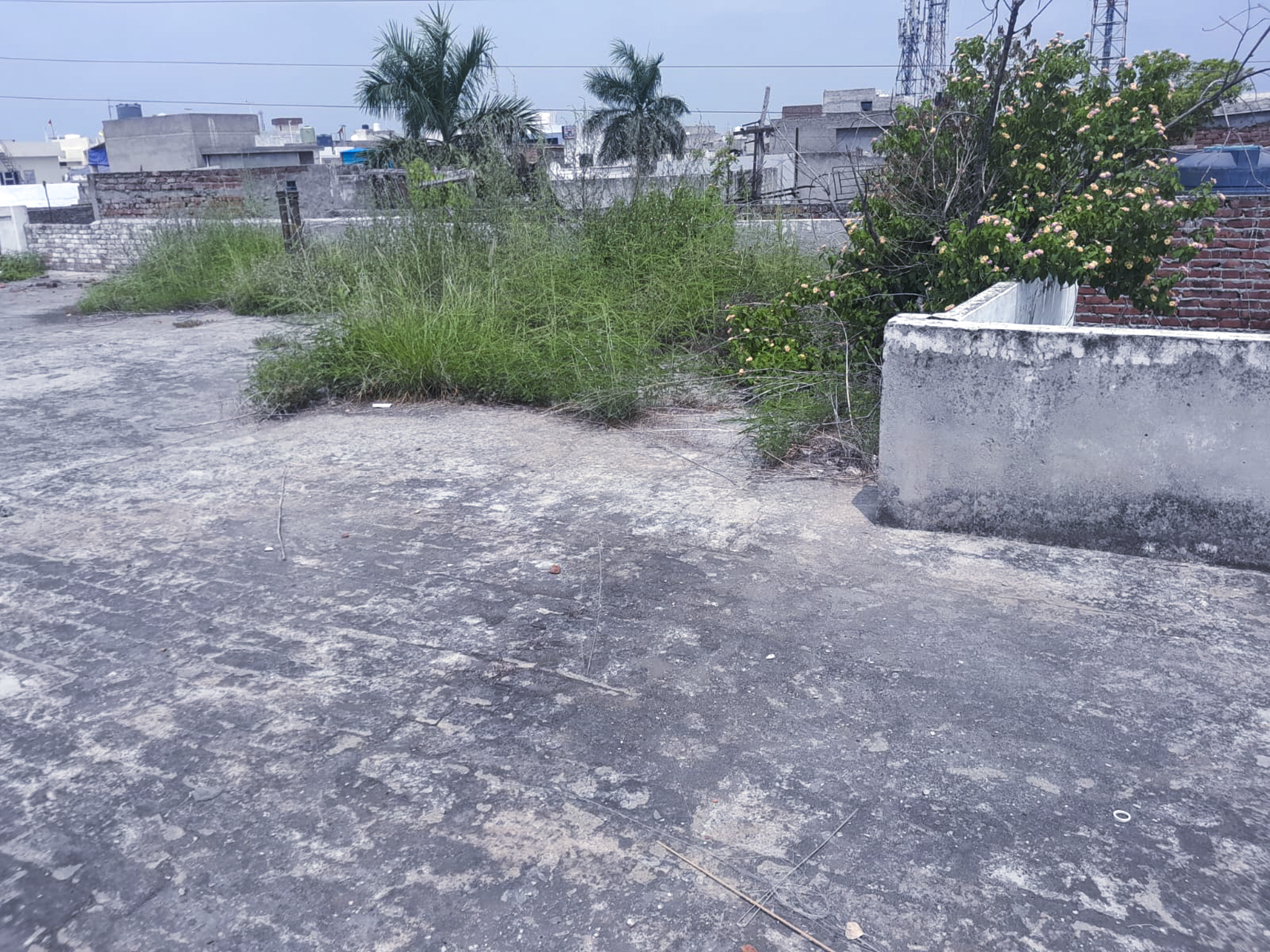 3 BHK Individual House for sale in Joshi Nagar, Ludhiana Ludhiana — photo 13