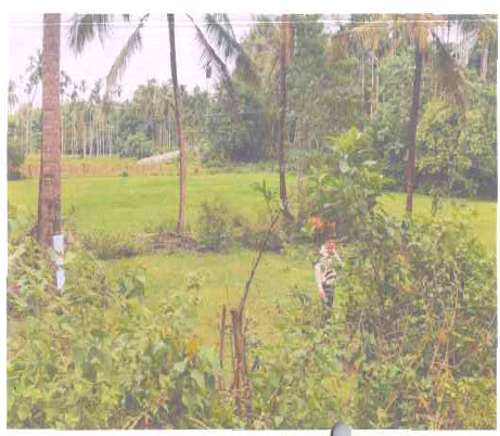 Plot for sale in Karkala