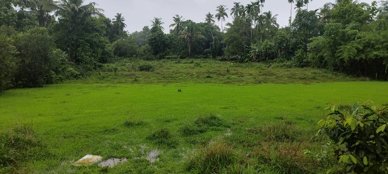 Plot for sale in MIYAR VILLAGE Karkal