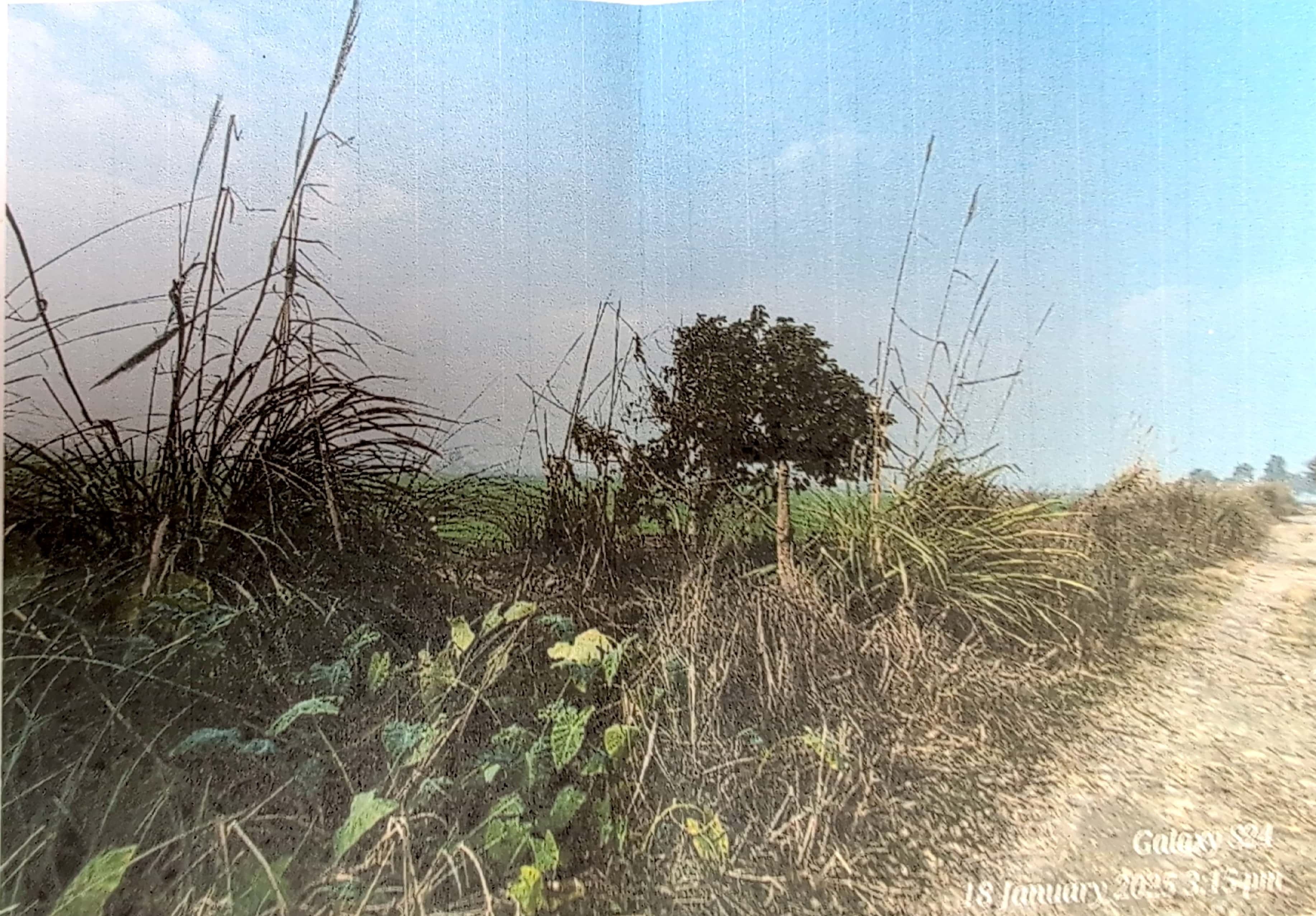 Plot for sale in Bazpur — photo 2