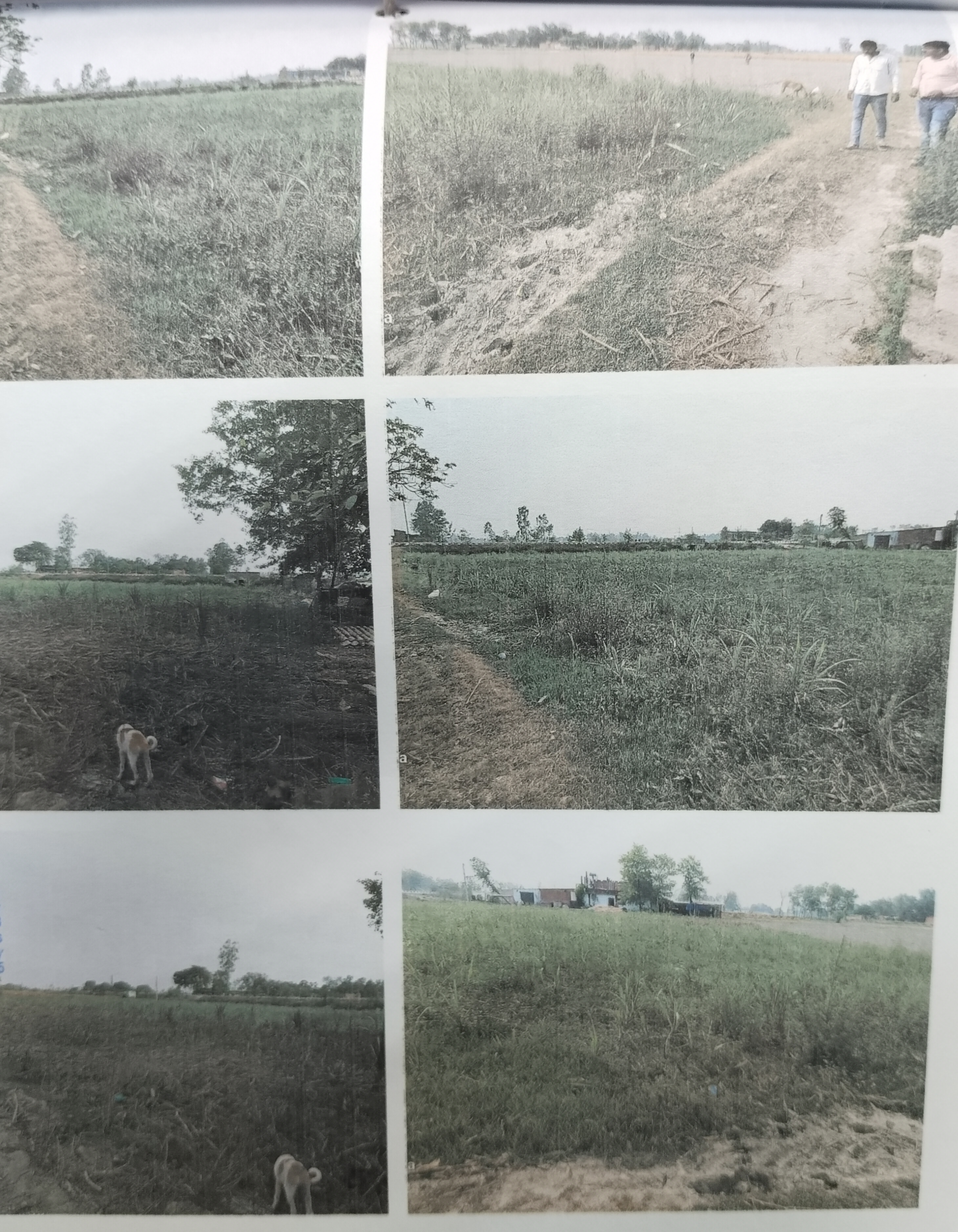 Plot for sale in Pargana – Bidahar, Tehsil – Tanda Tanda