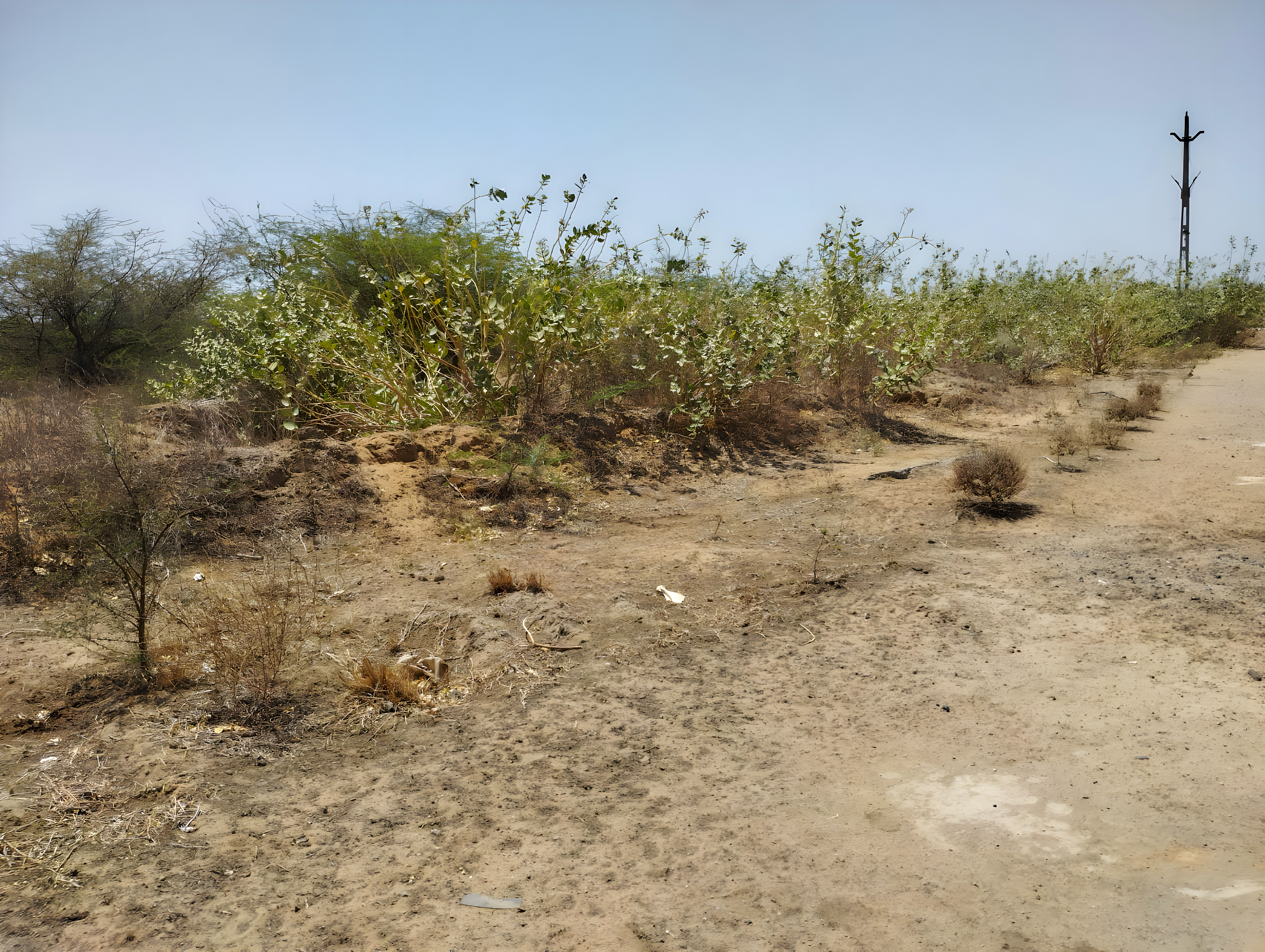 30655 square meter Industrial Plot with Factory Building for sale in Chora, Deesa Dhanera — photo 5