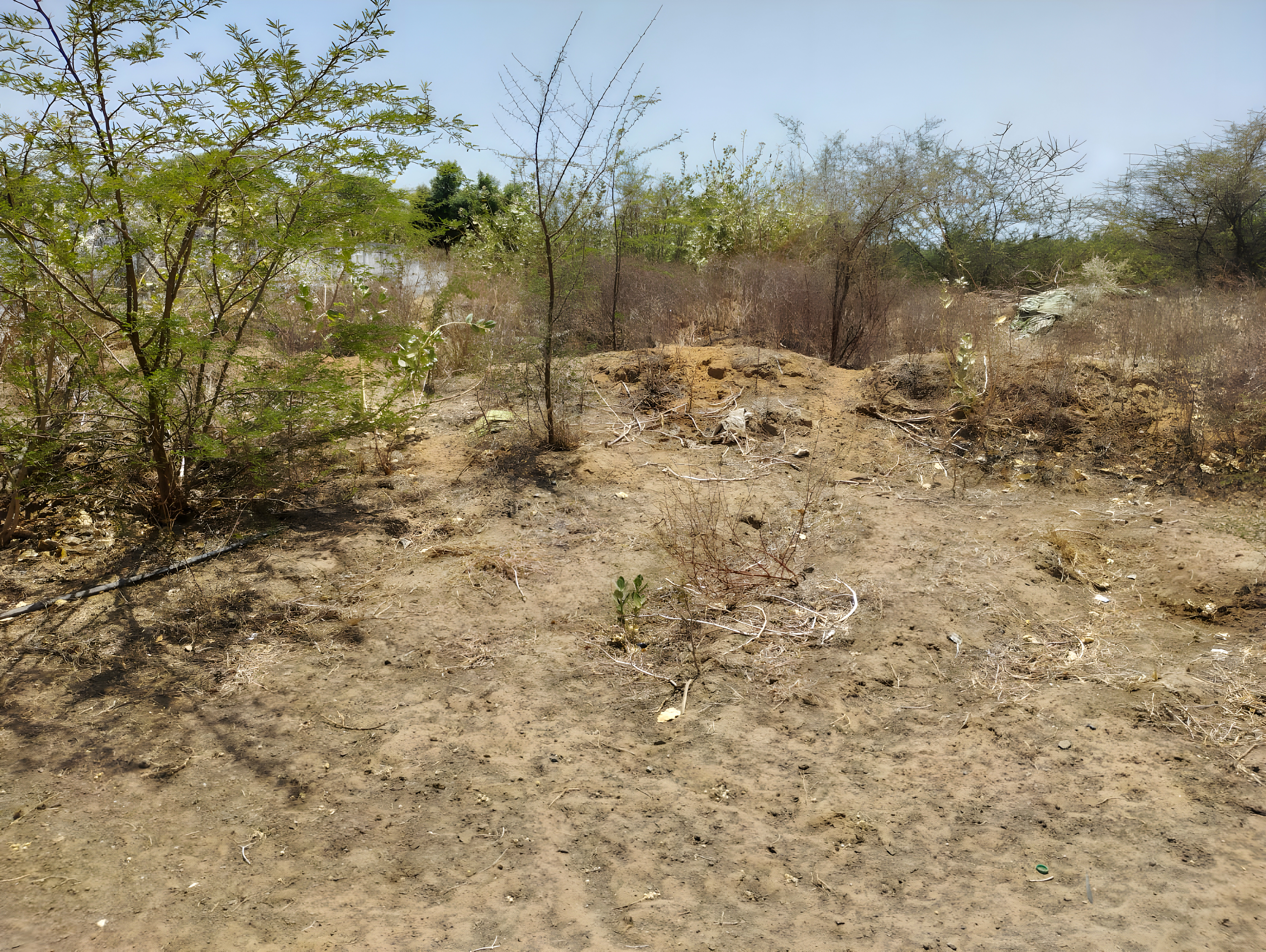 30655 square meter Industrial Plot with Factory Building for sale in Chora, Deesa Dhanera — photo 6