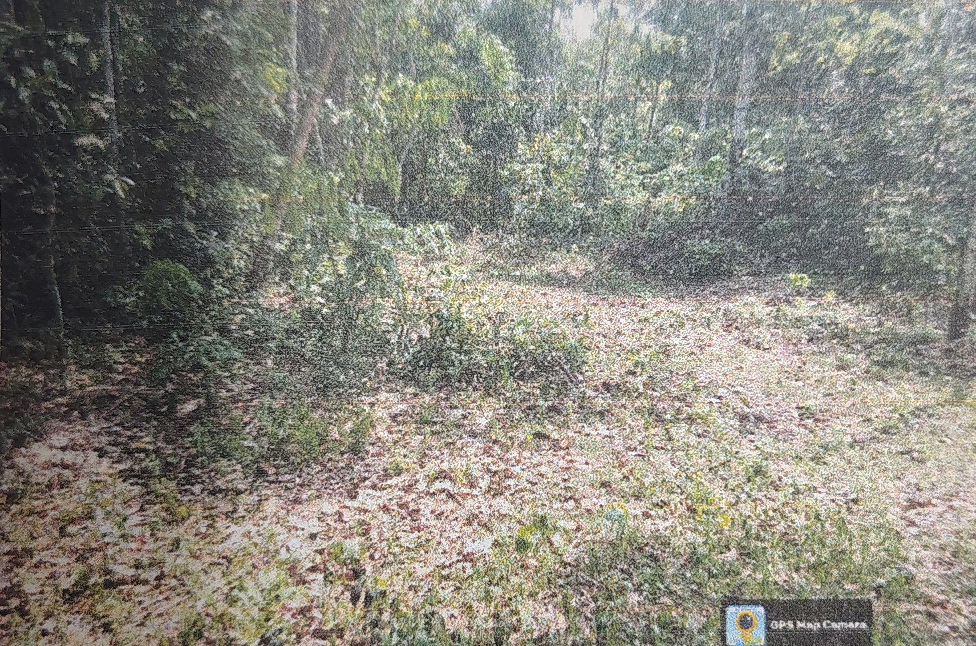 VACCANT LAND for sale in Adoor