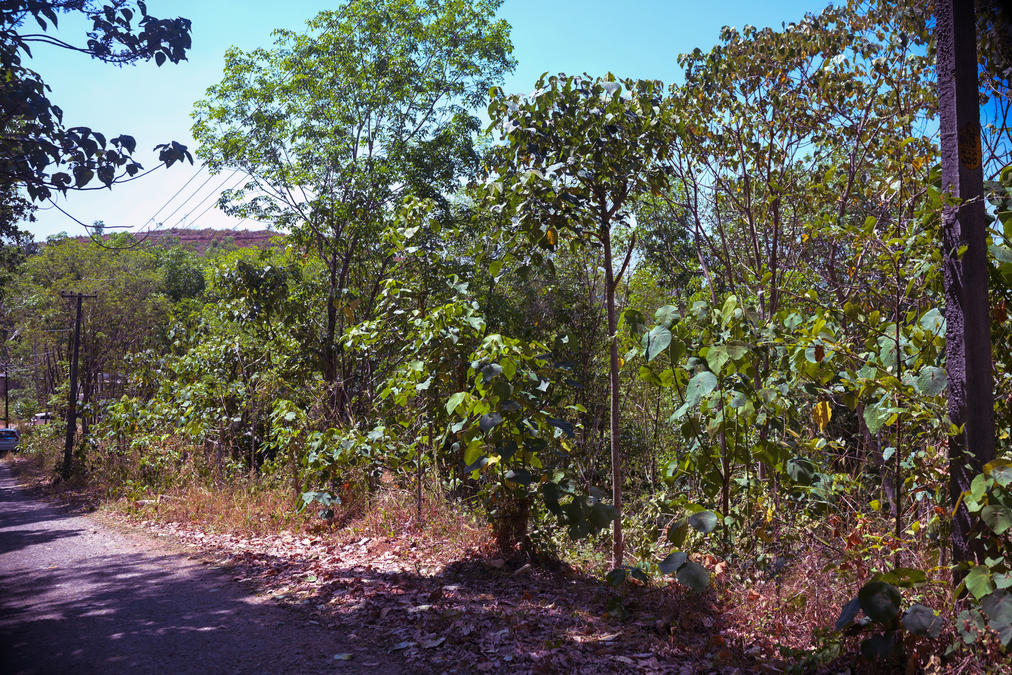 Individual House for sale in Kottarakkara — photo 7