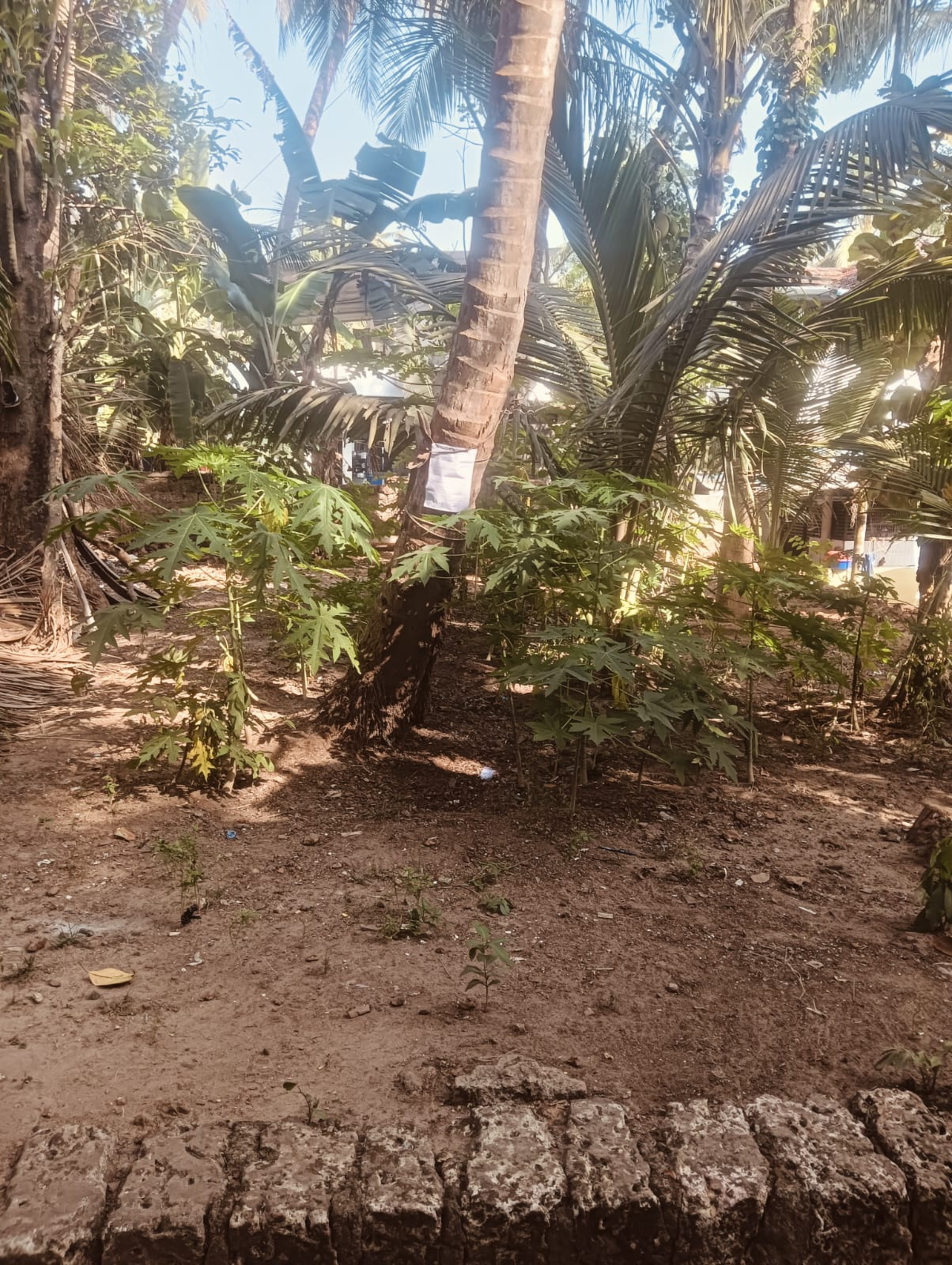 Plot for sale in Kadalundi — photo 6