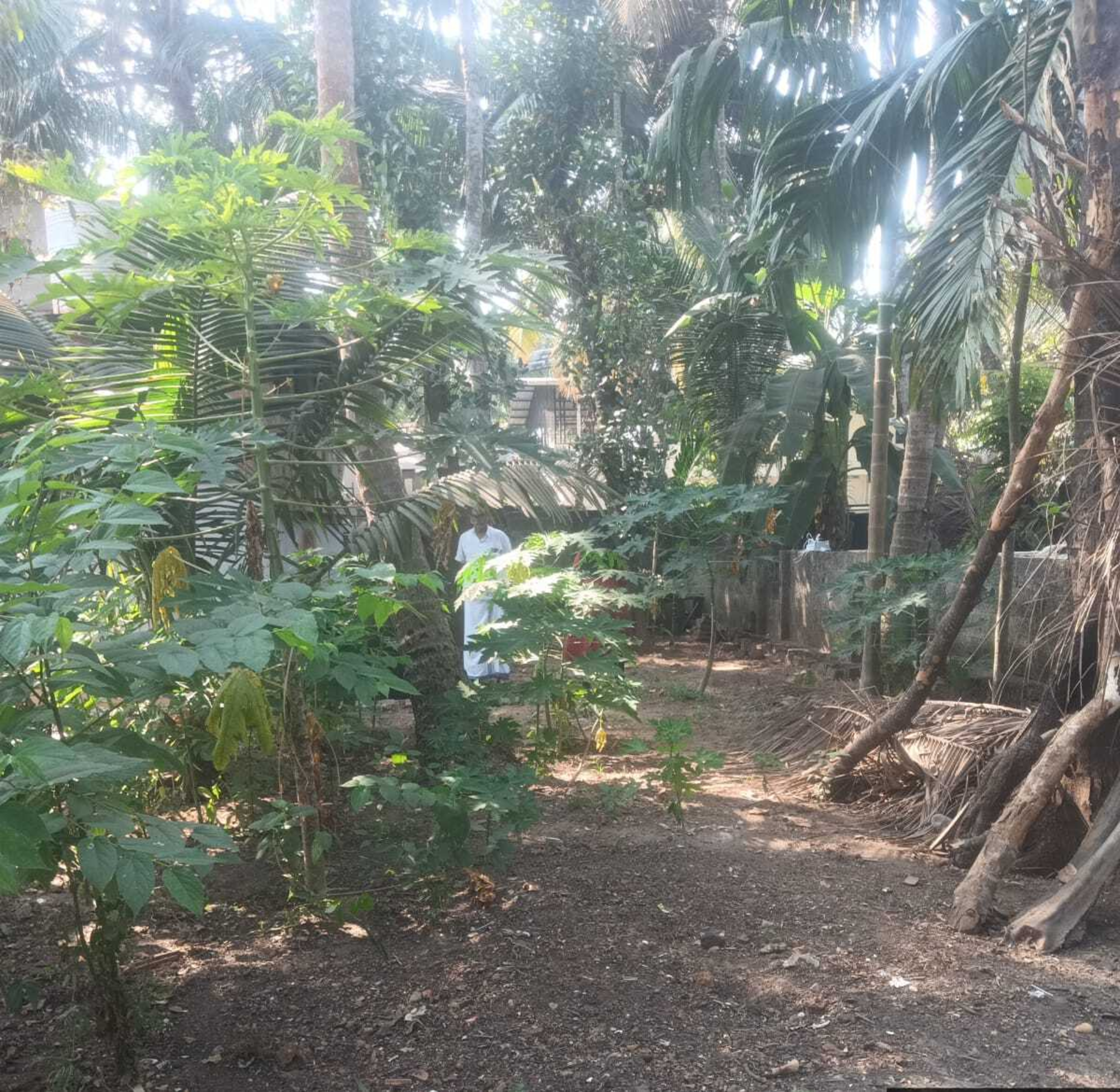 Plot for sale in Kadalundi