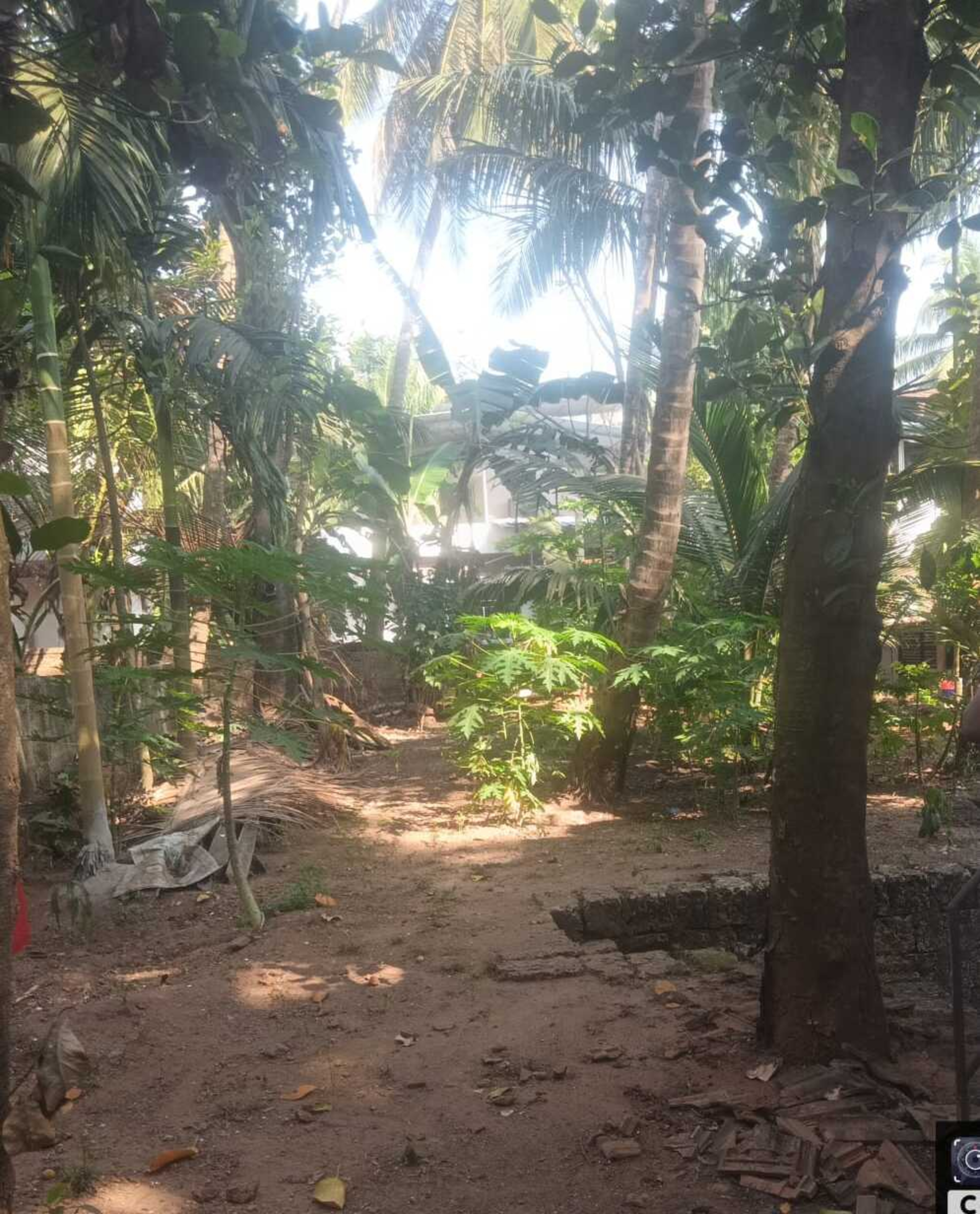 Plot for sale in Kadalundi — photo 2