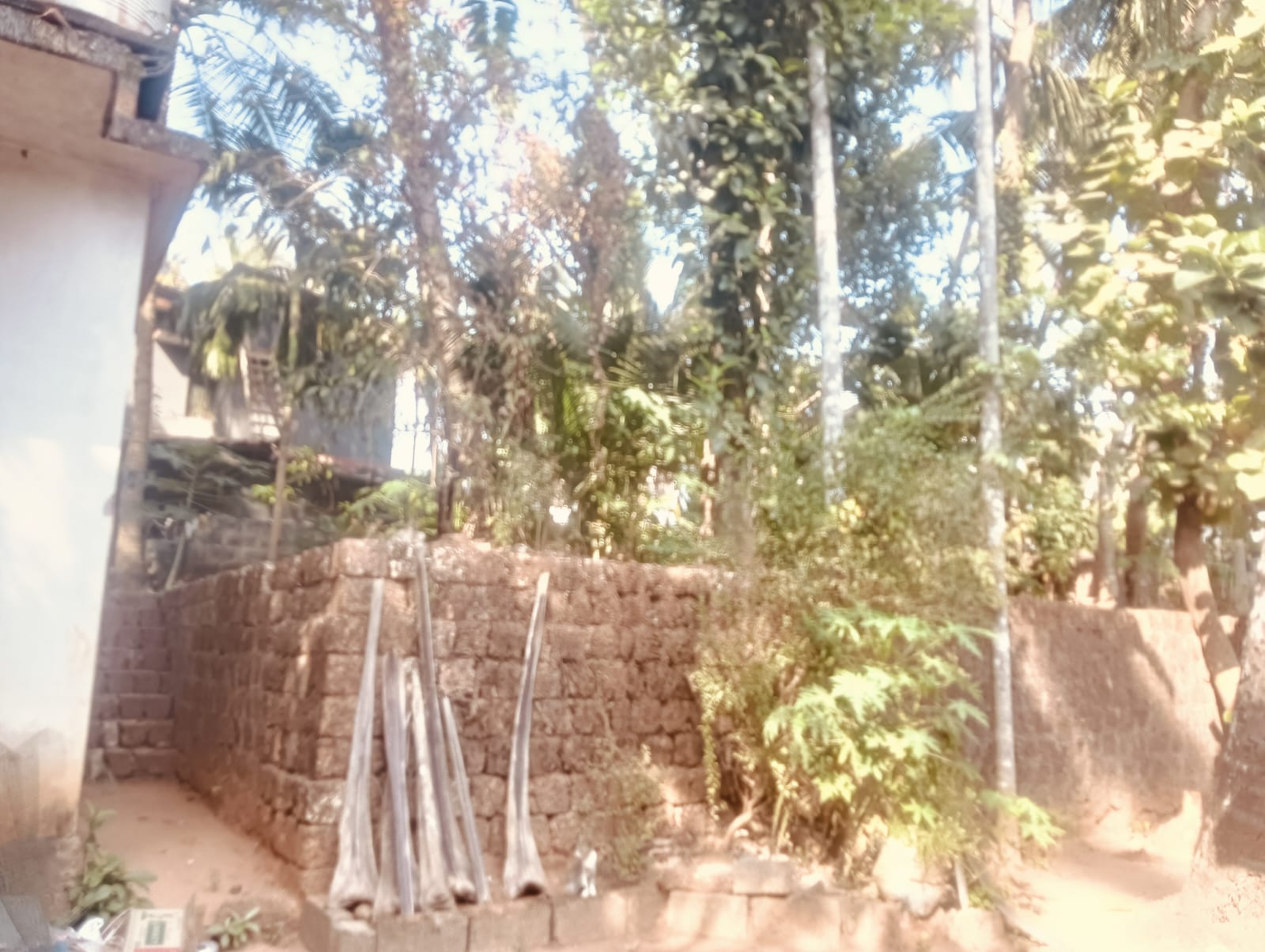 Plot for sale in Kadalundi — photo 5