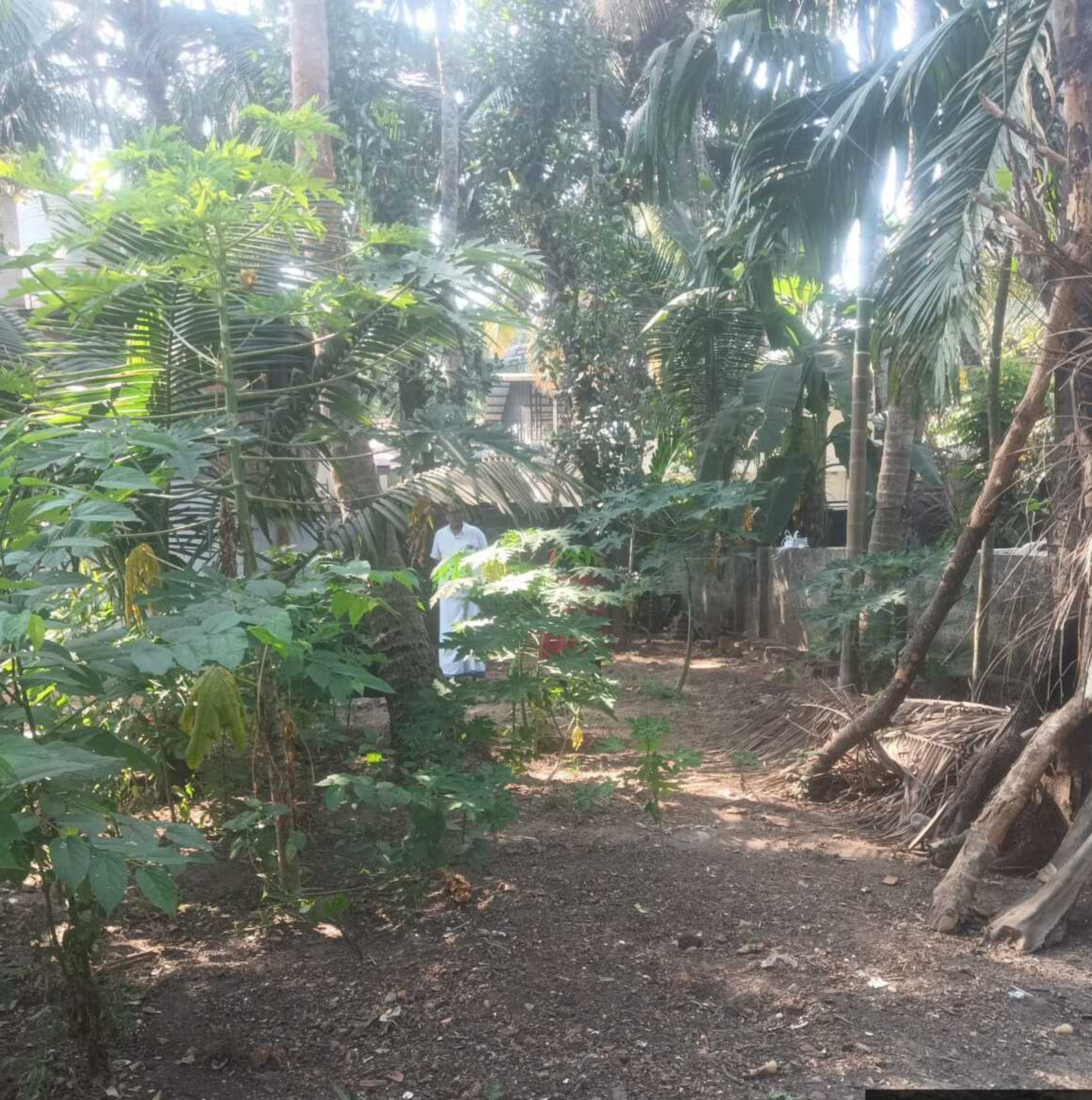 Plot for sale in Kadalundi — photo 7