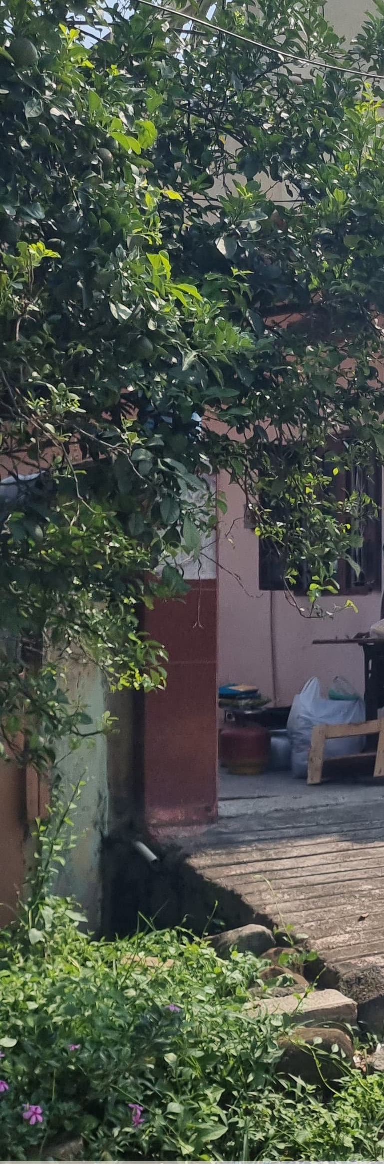 Individual House for sale in Kodad Gramapanchayat and Revenue limits, Kodad Mandal, Nalgonda Dist. Kodad — photo 2