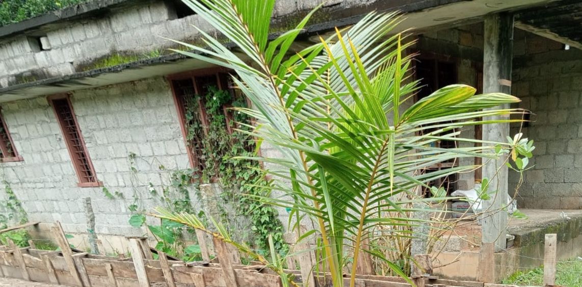 Individual House for sale in MAVELIKARA Mavelikkara — photo 8
