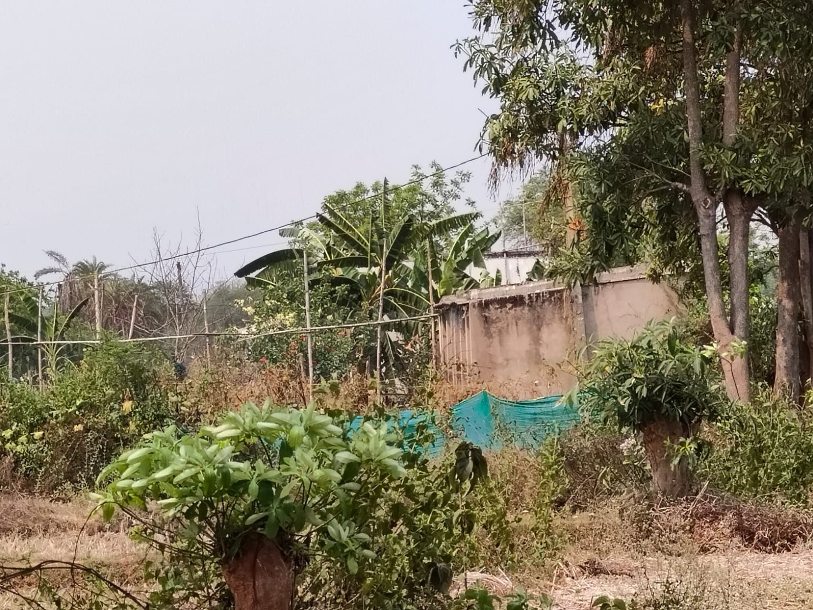 Individual House for sale in DHENKANAL Dhenkanal