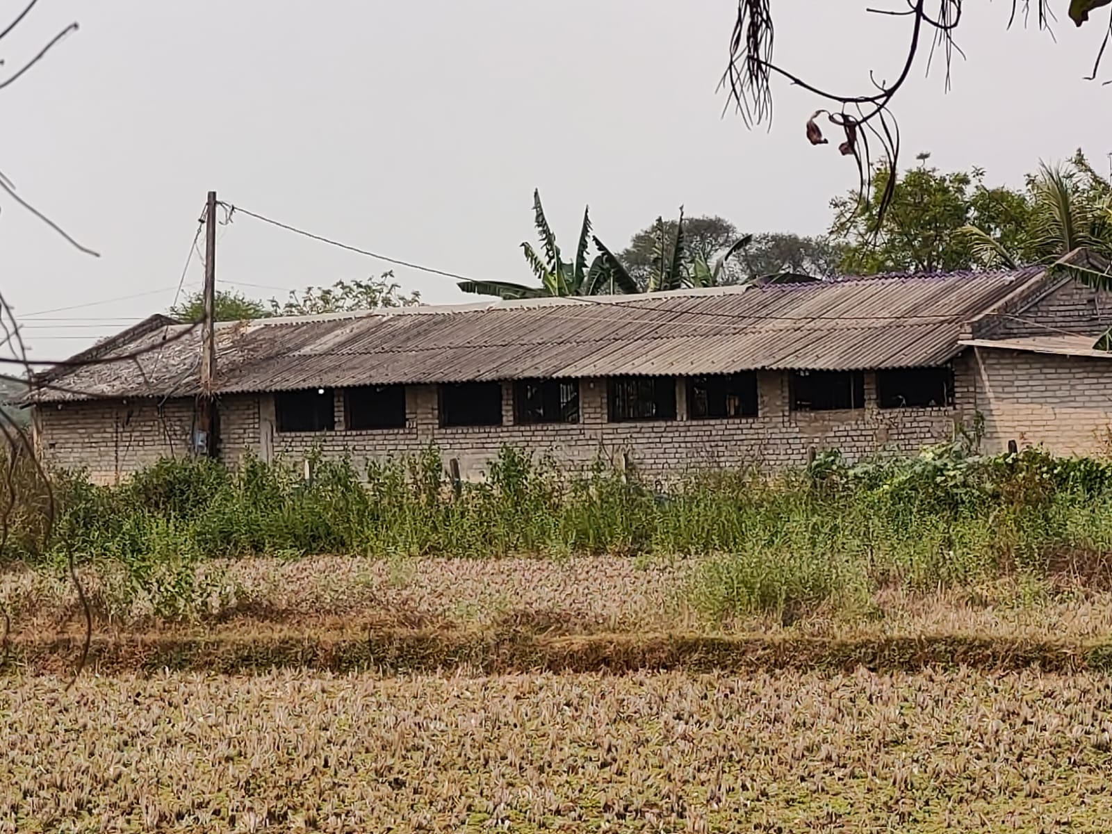 Individual House for sale in DHENKANAL Dhenkanal — photo 2