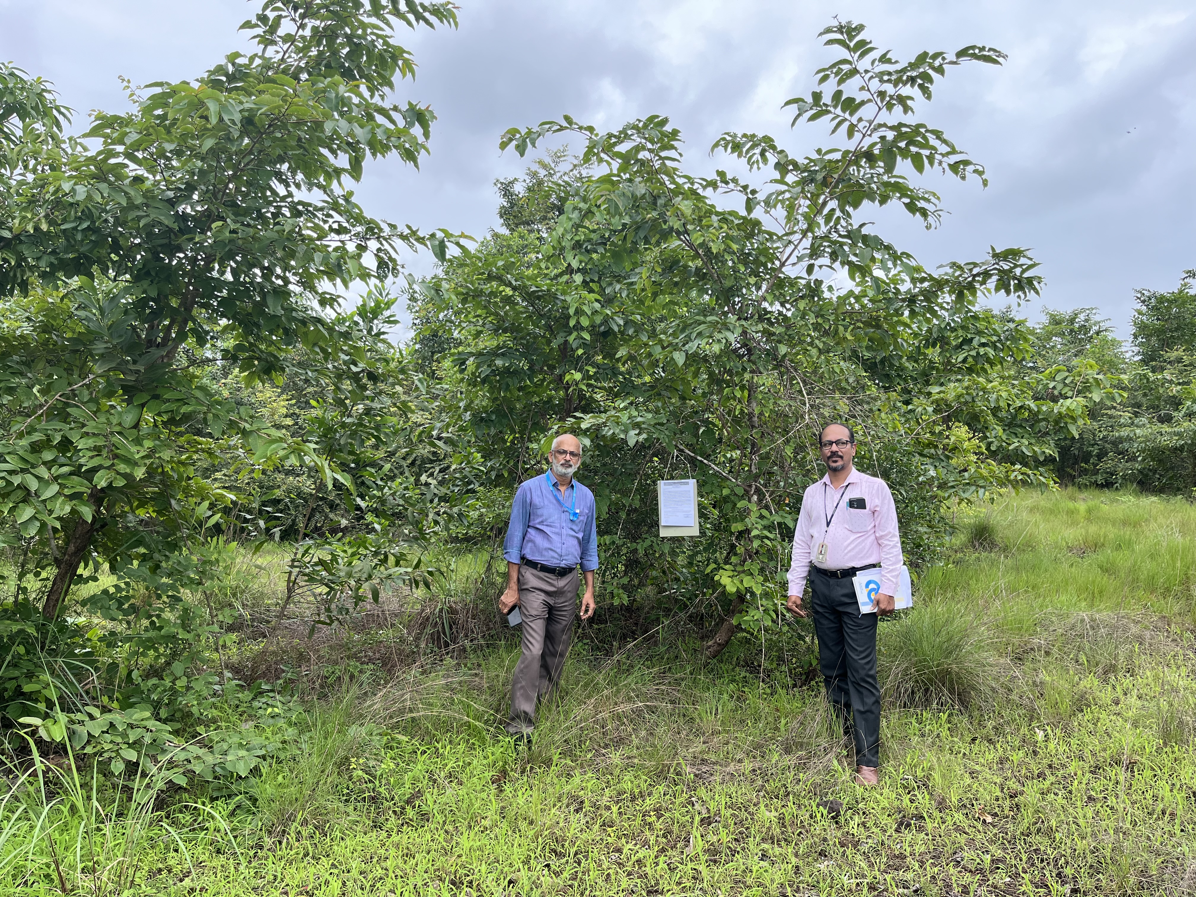 Plot for sale in Cheruthazham