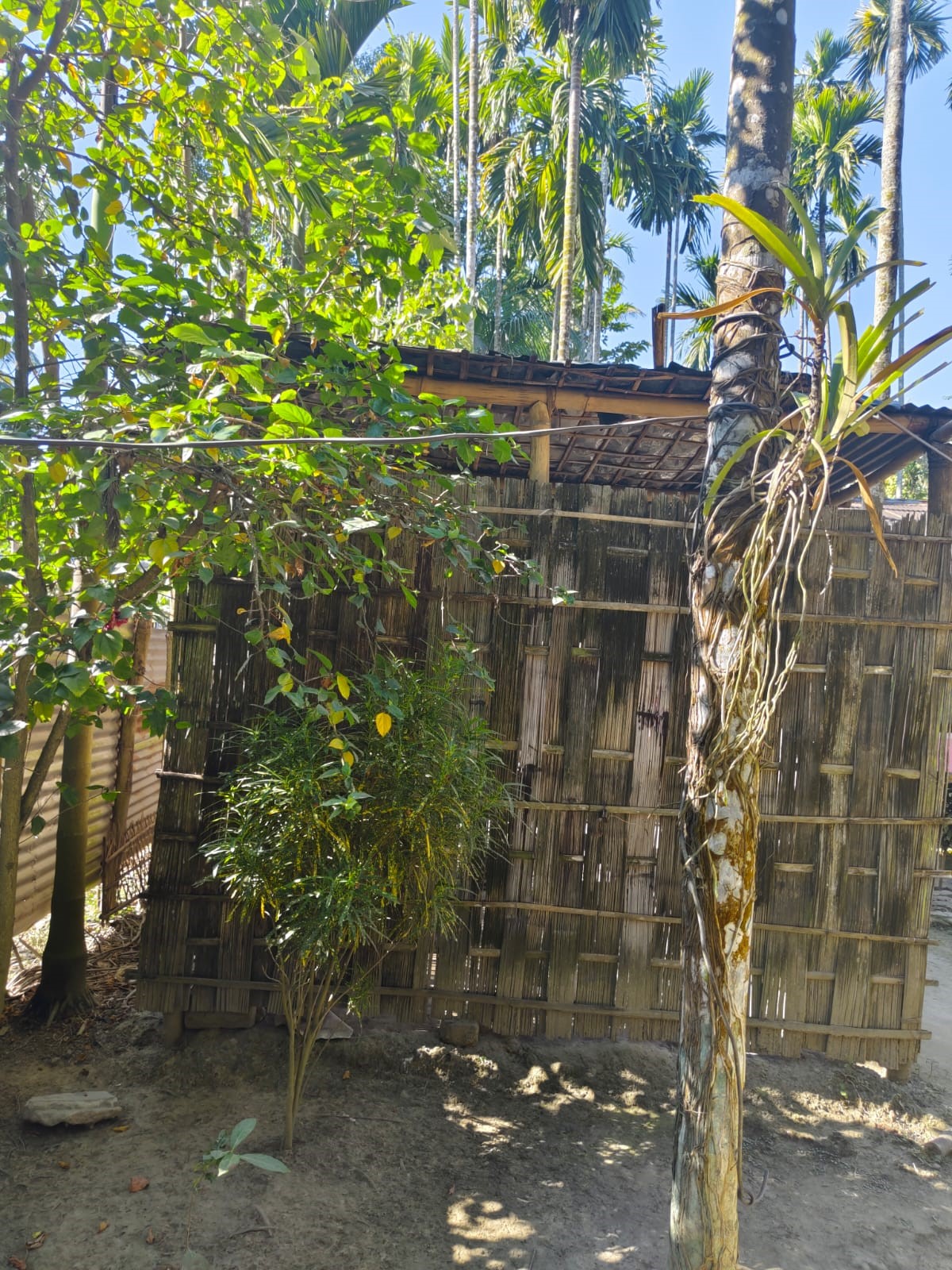 Individual House for sale in Morigaon — photo 4