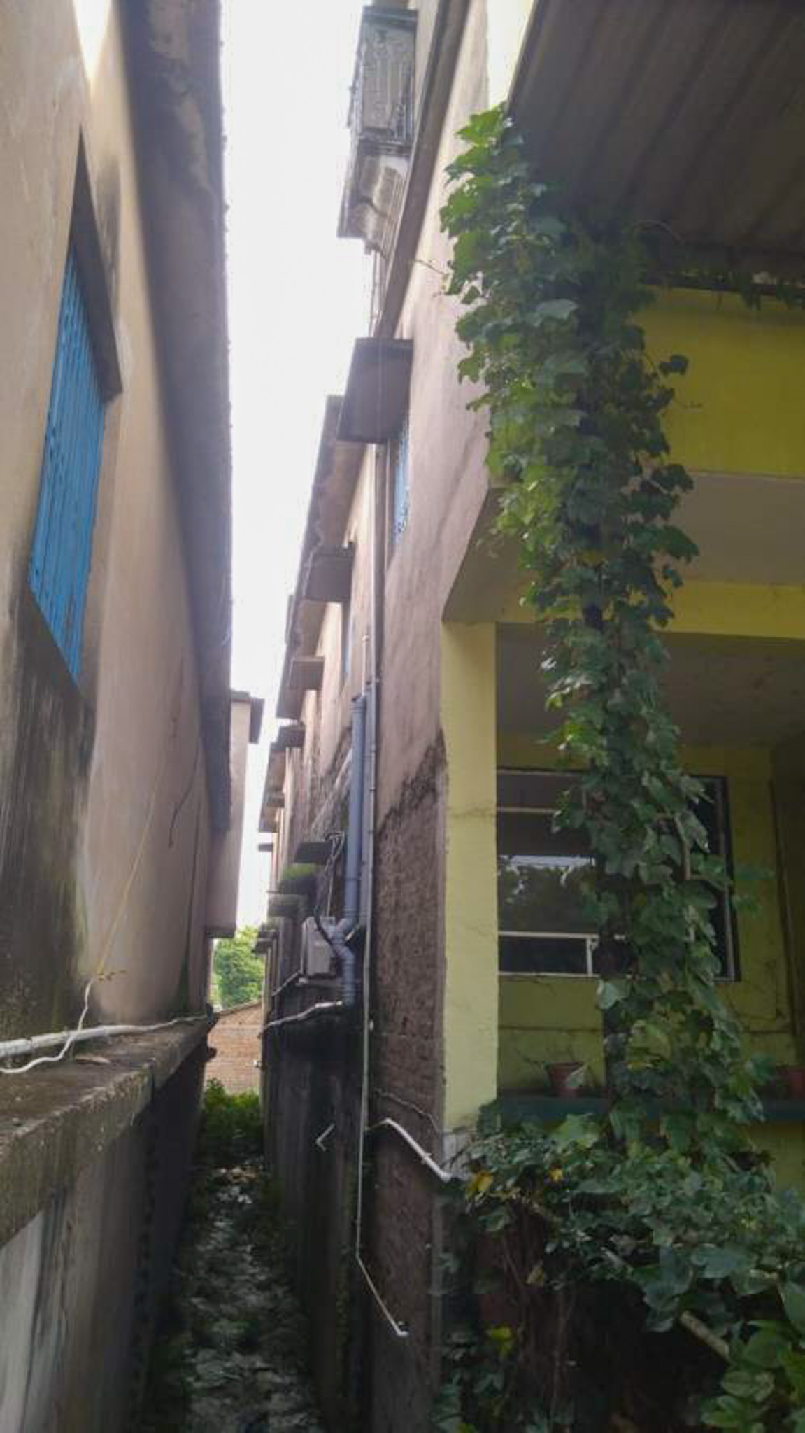 3484.48 square feet Individual House for sale in Katihar — photo 16