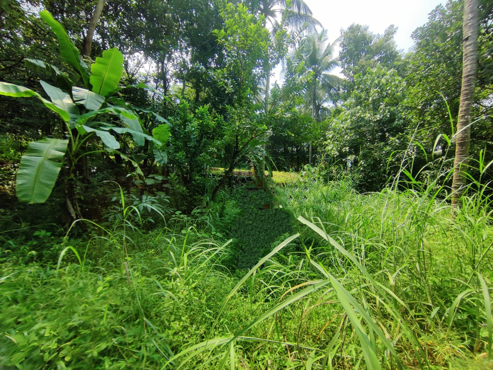 Plot for sale in Malappuram