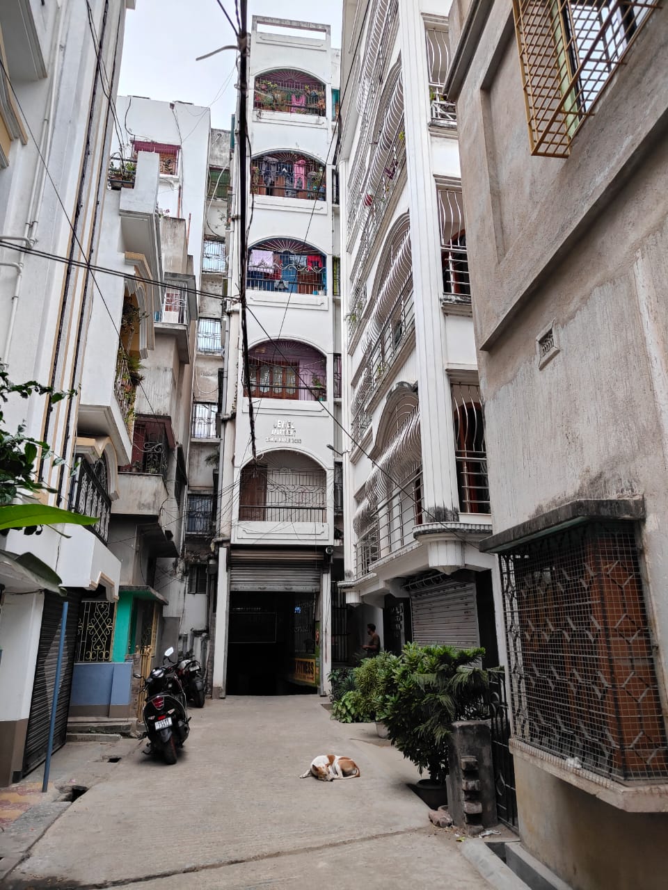 Flat for sale in JEWEL APARTMENT, Berhampore — photo 5