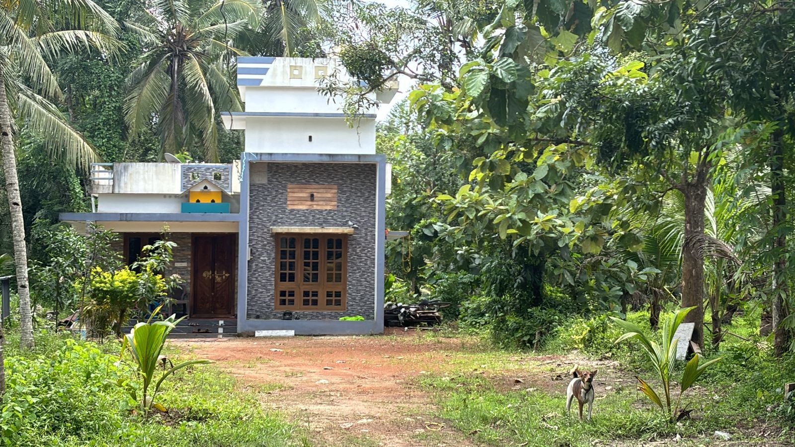 Individual House for sale in Bharanikkavu