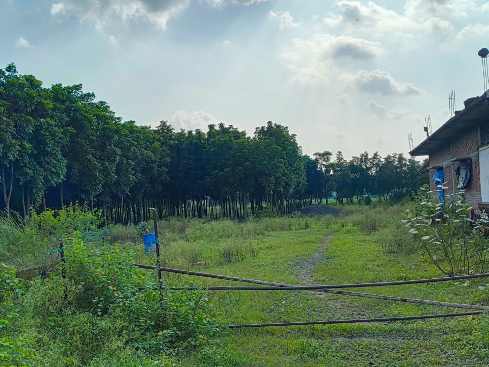 Plot for sale in Jaruakheda — photo 3