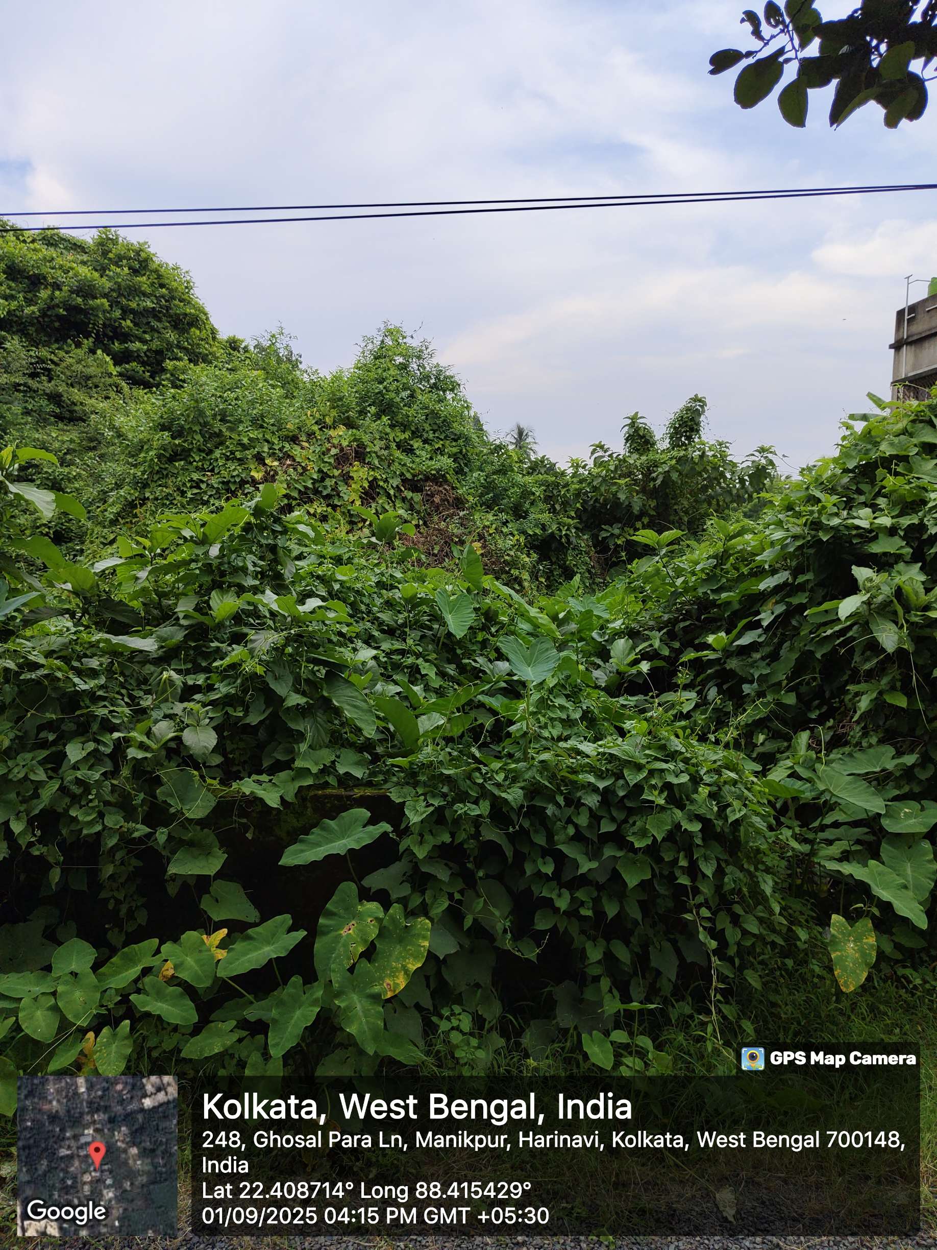 Plot for sale in Kolkata